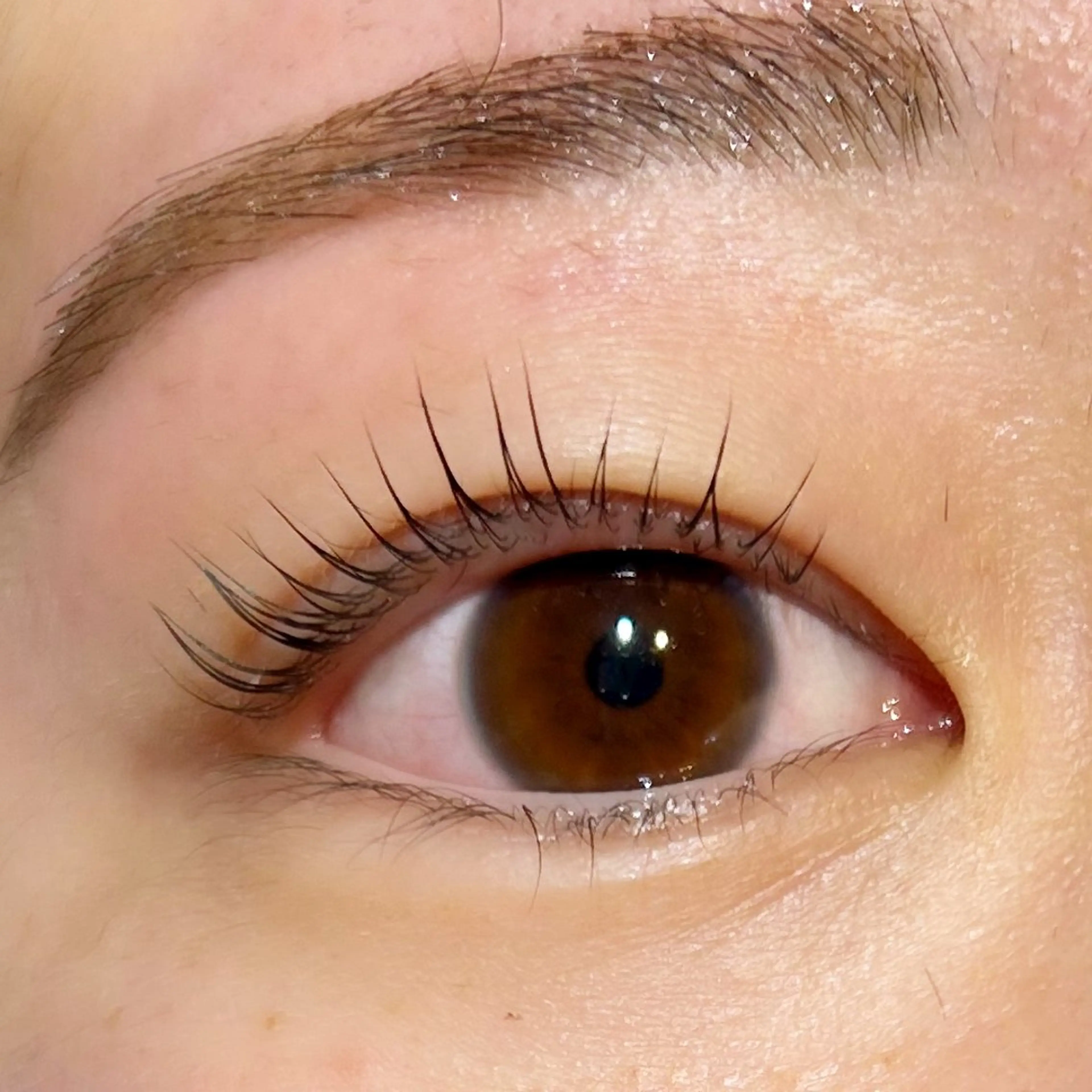 マツエク・マツパ パリジェンヌラッシュリフト siieyelash 鷺沼店HONOKAのマツエク・マツパデザイン