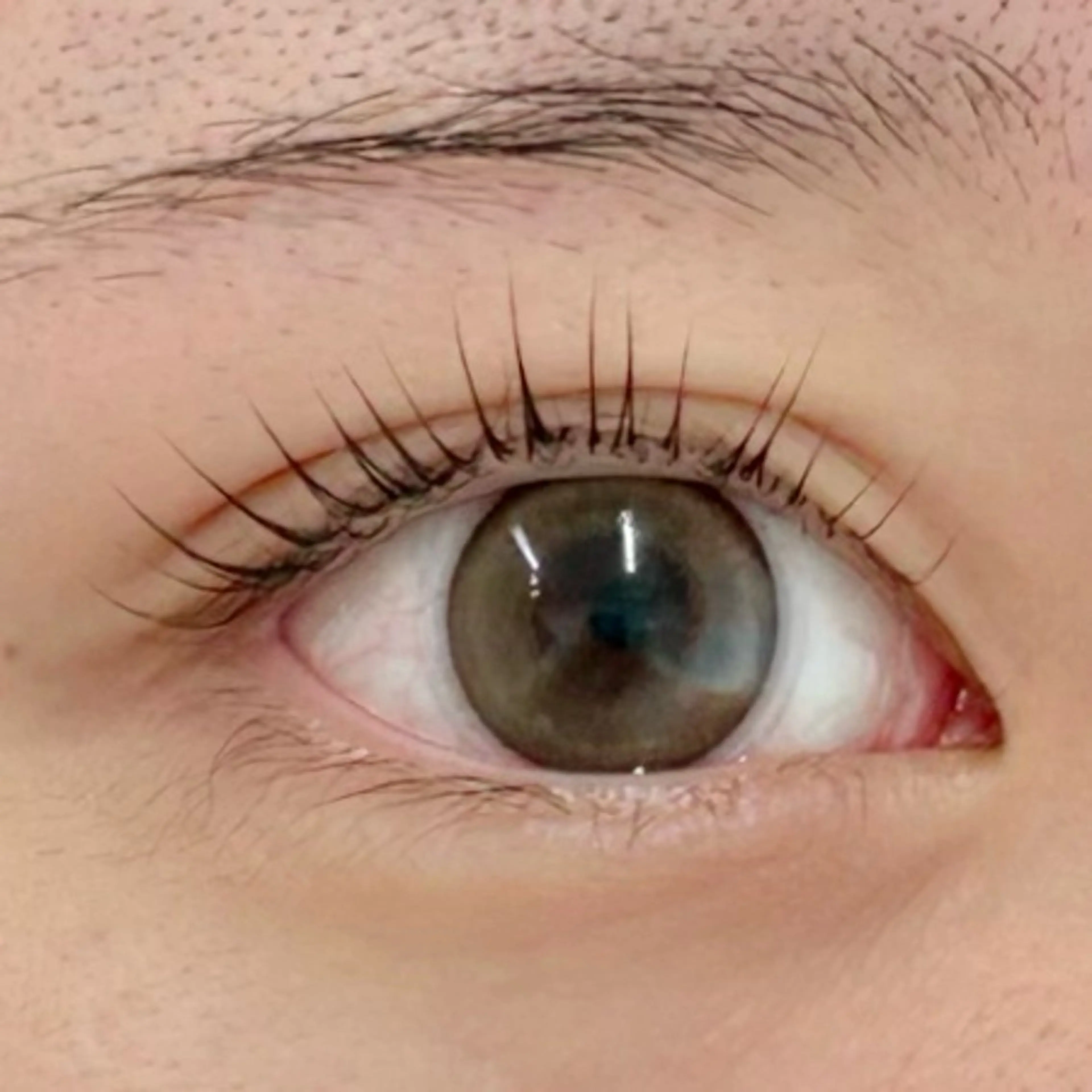 マツエク・マツパ 一重×まつ毛パーマ BellFlower Aki（眉・まつげ）のマツエク・マツパデザイン