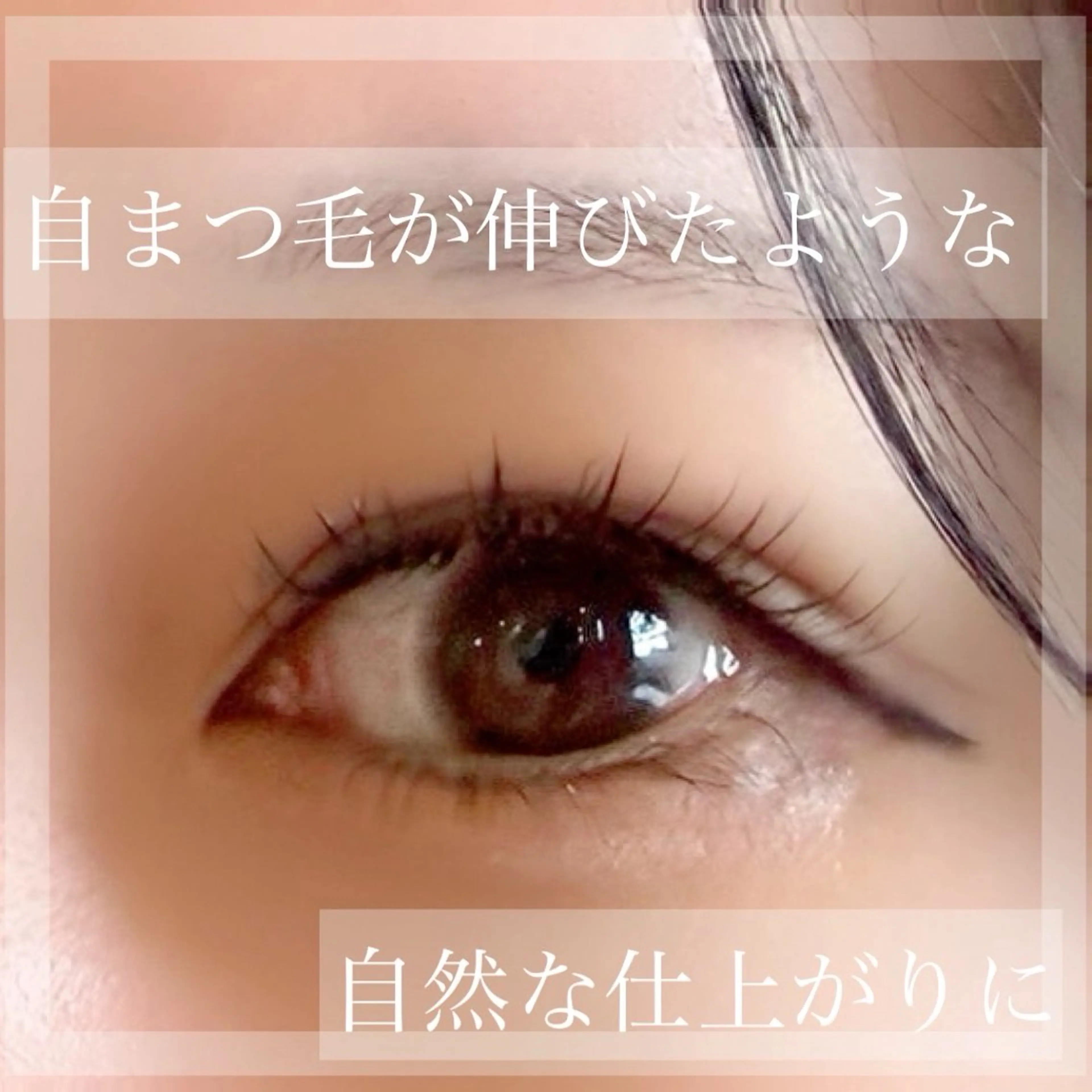 マツエク・マツパ Rian入間店所属・りぃ rian入間店のマツエク・マツパデザイン