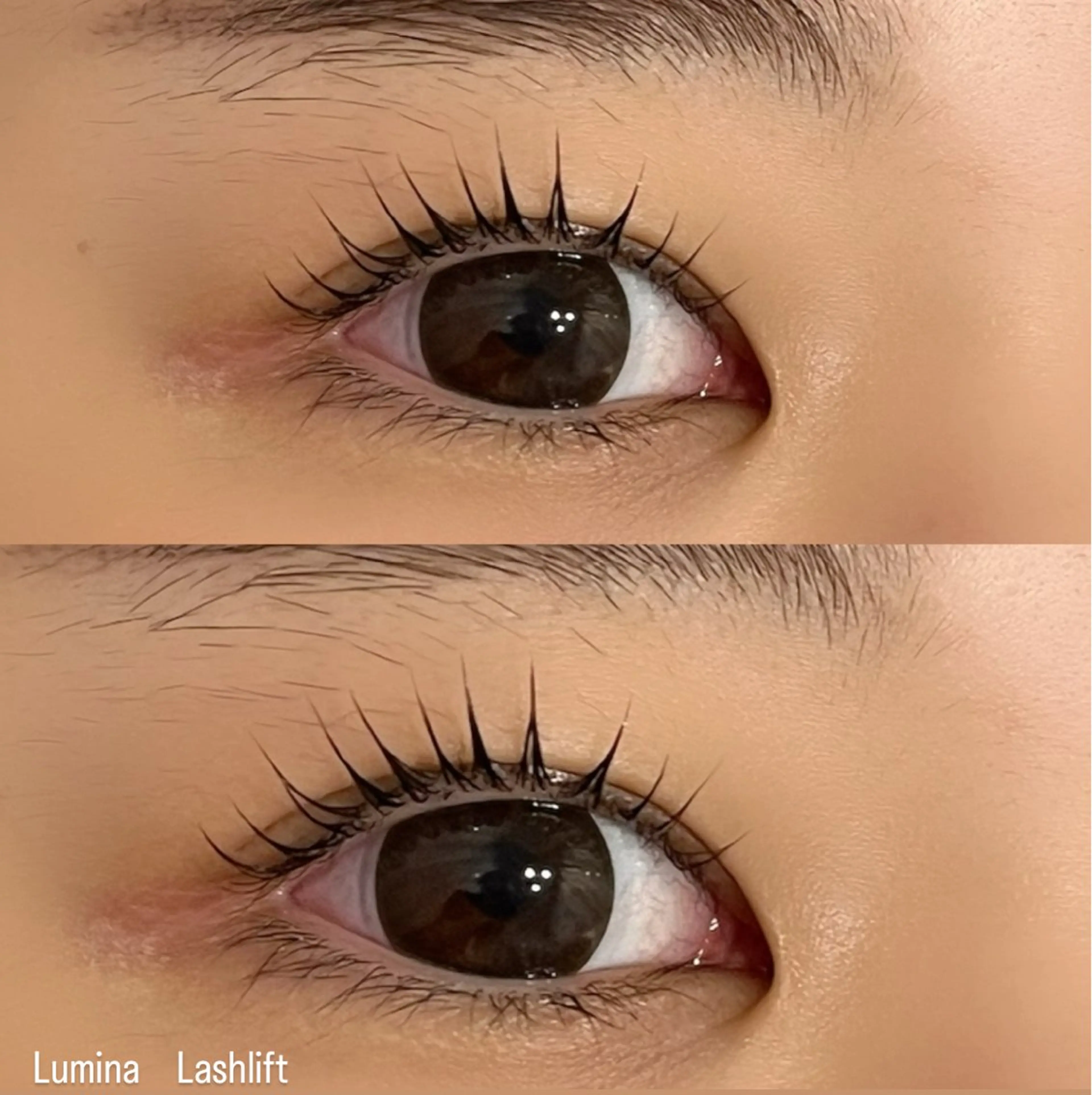 マツエク・マツパ マツパ Lumina Fuyumiのマツエク・マツパデザイン