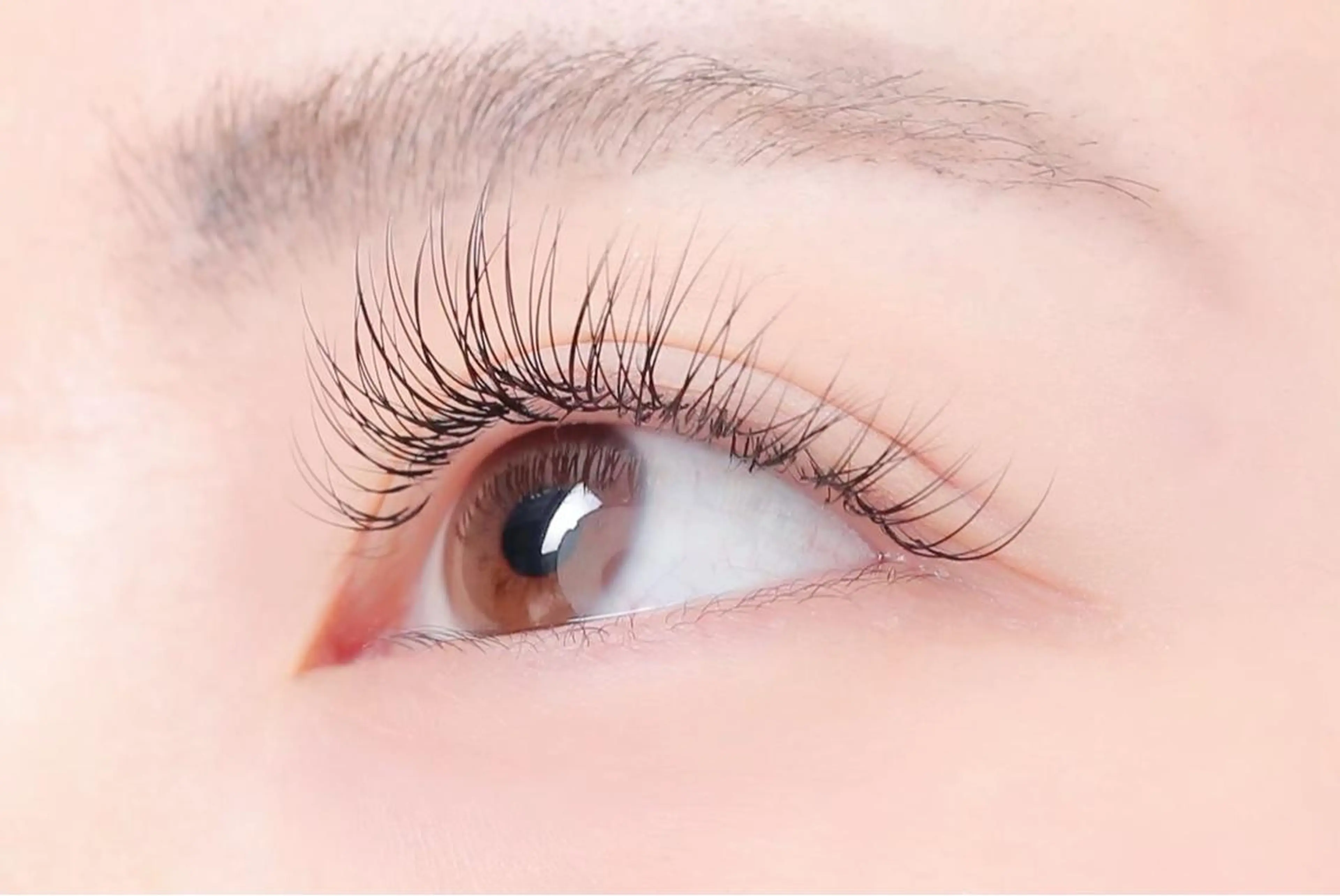 マツエク・マツパ 椿森 美瑠紅の眉毛・アイブロウイメージ