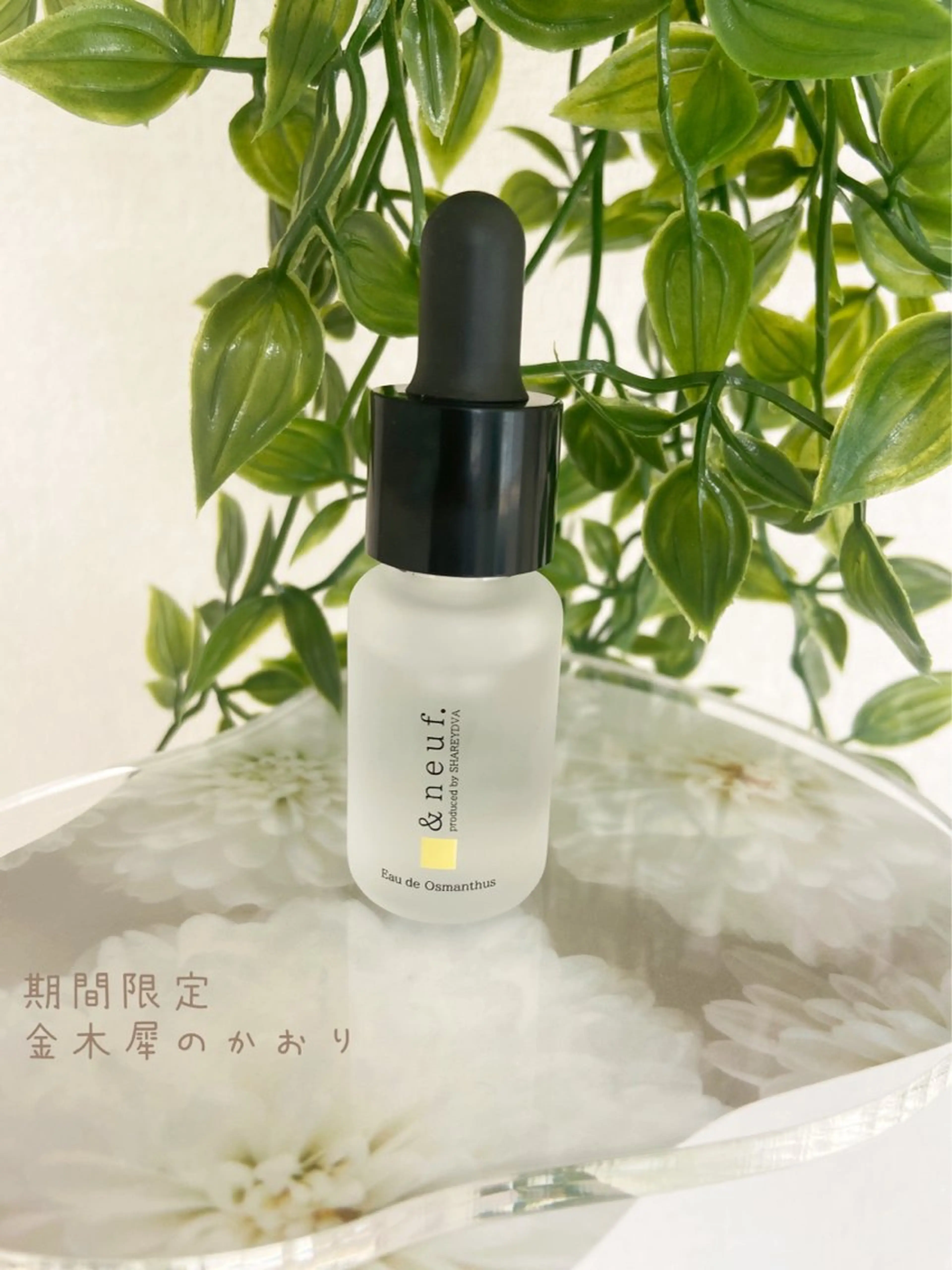 ネイル nail_ kinaのネイルデザイン