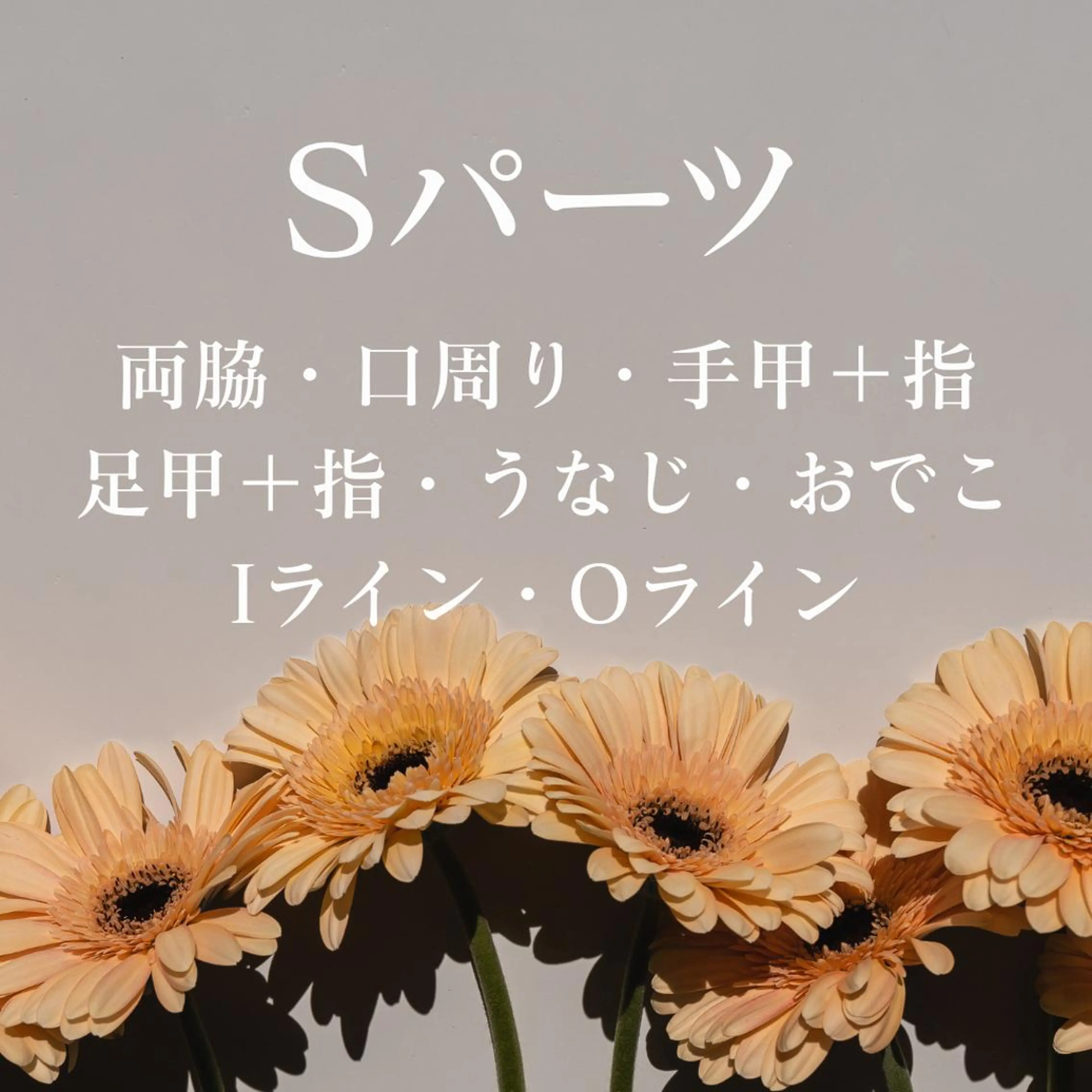 【破格に脱毛💣】Sパーツ/選べるパーツ脱毛☆何箇所でも可能◎ ※女性限定の写真