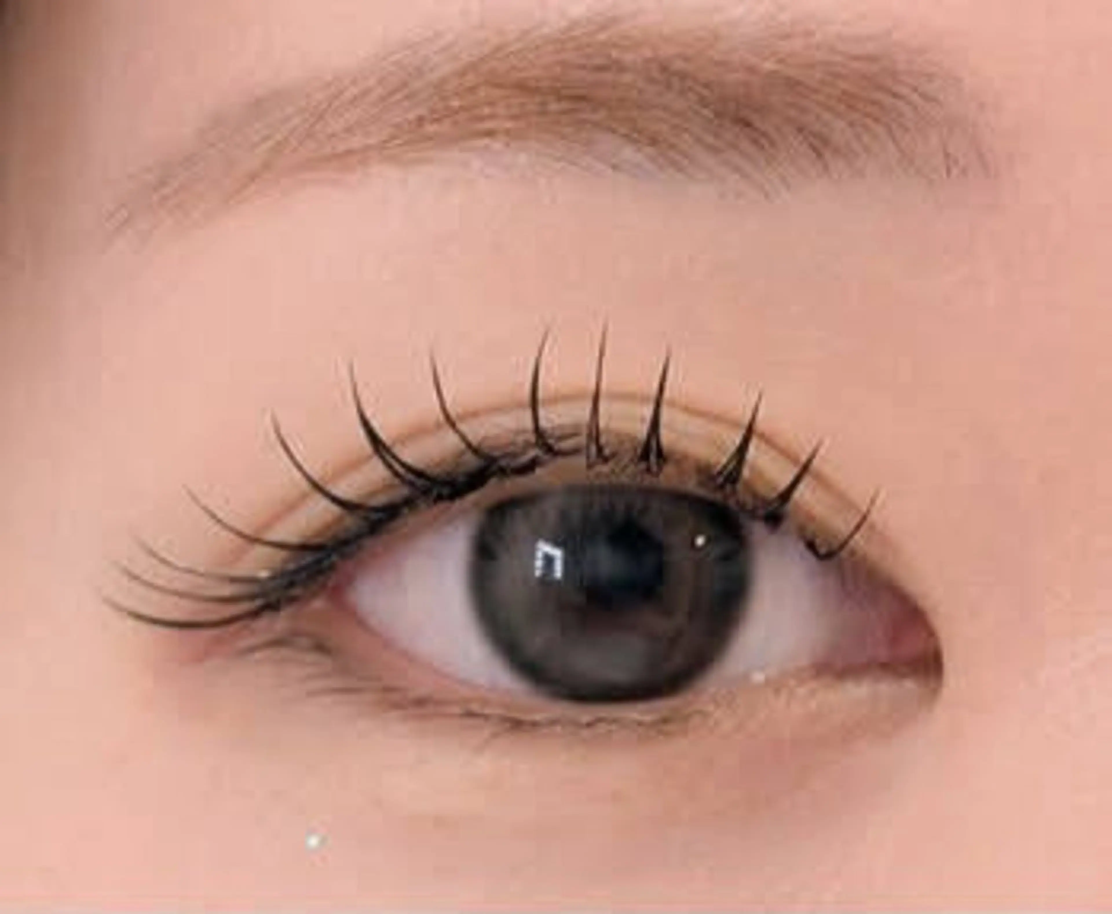 フラットラッシュ100本の写真