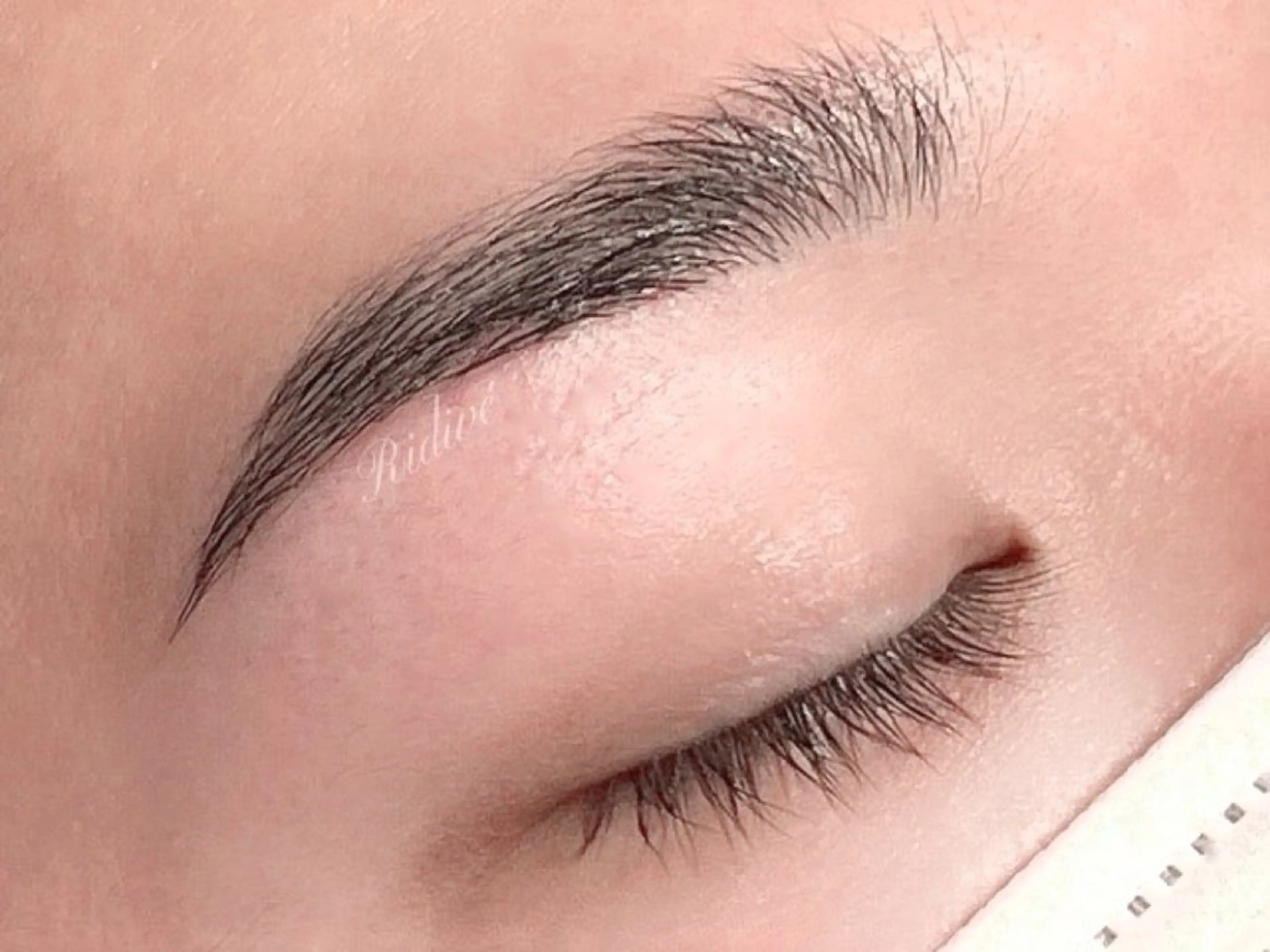 アイブロウ Ridive Ayaの眉毛・アイブロウイメージ