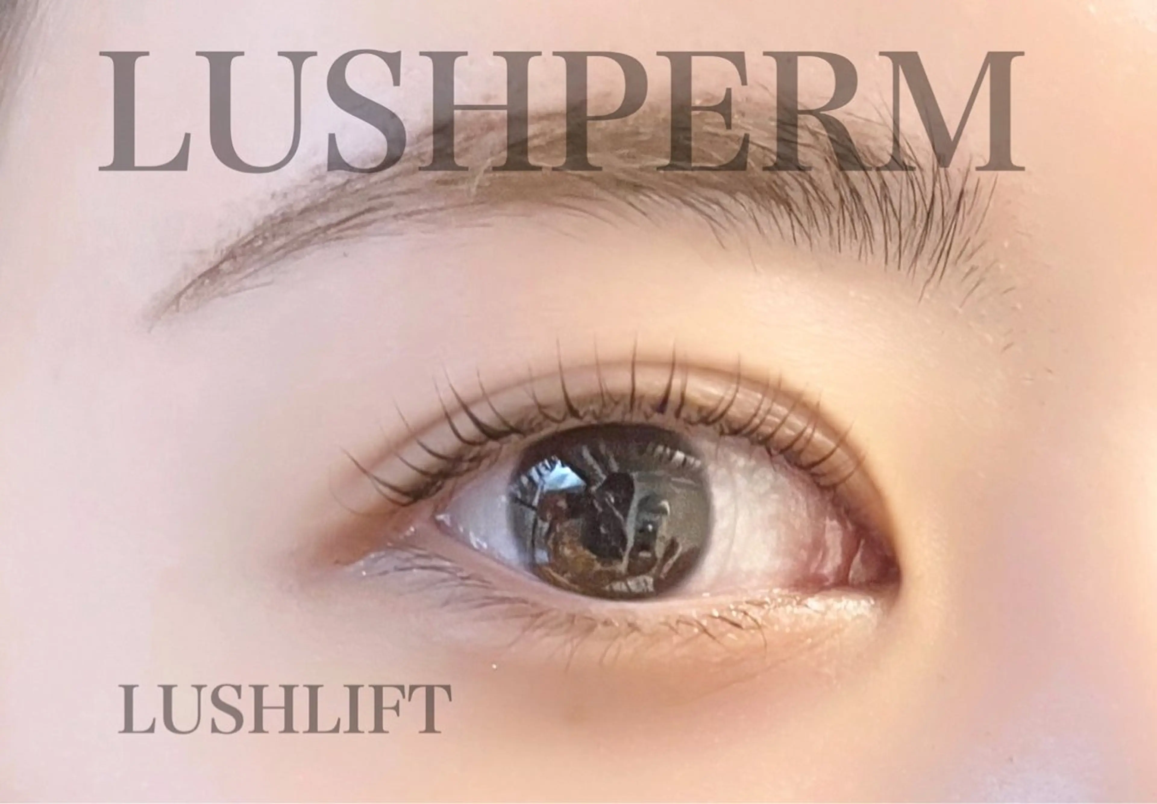 マツエク・マツパ Li'a-eyes-所属・Li'a-eyes- 🩵の眉毛・アイブロウイメージ