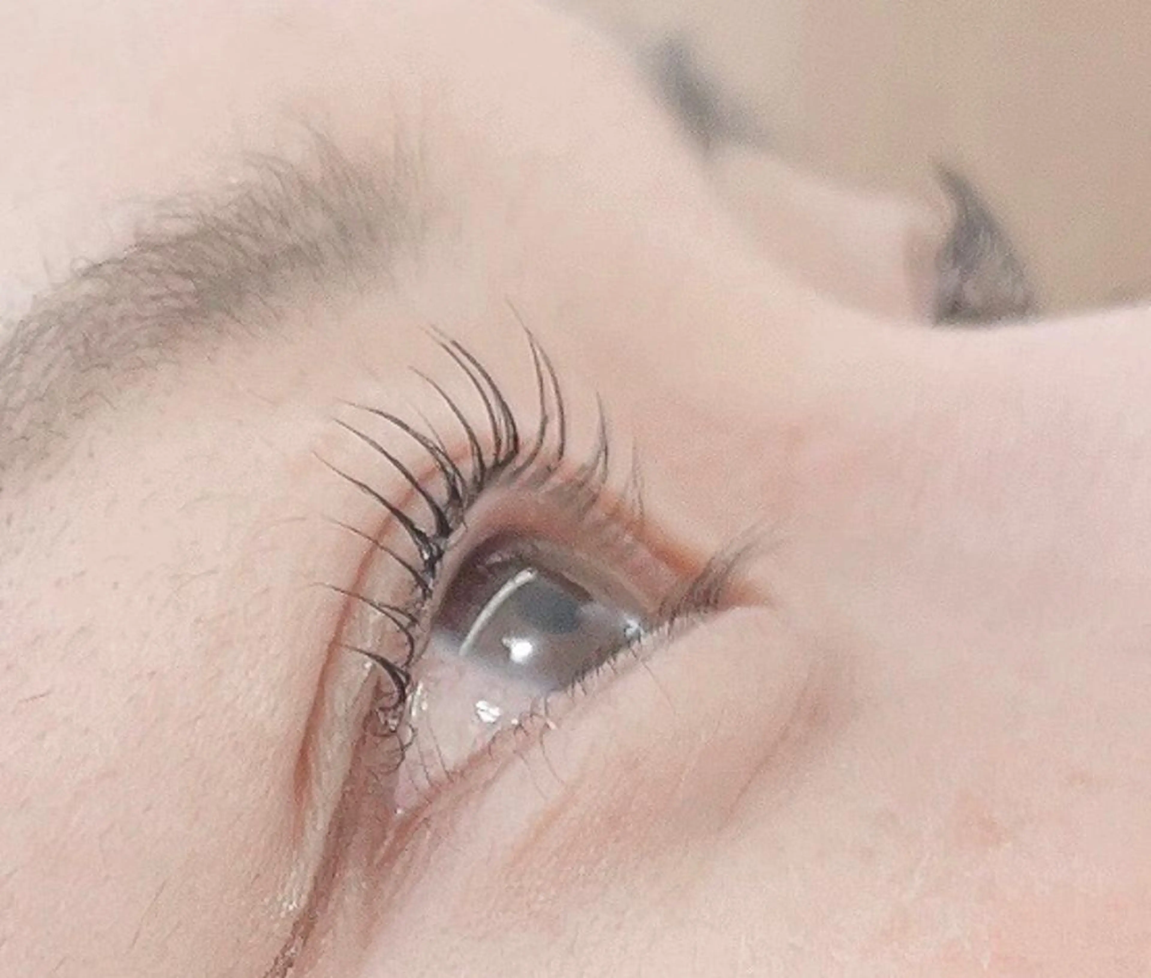 マツエク・マツパ マツパ handsemu EYELASHの眉毛・アイブロウイメージ