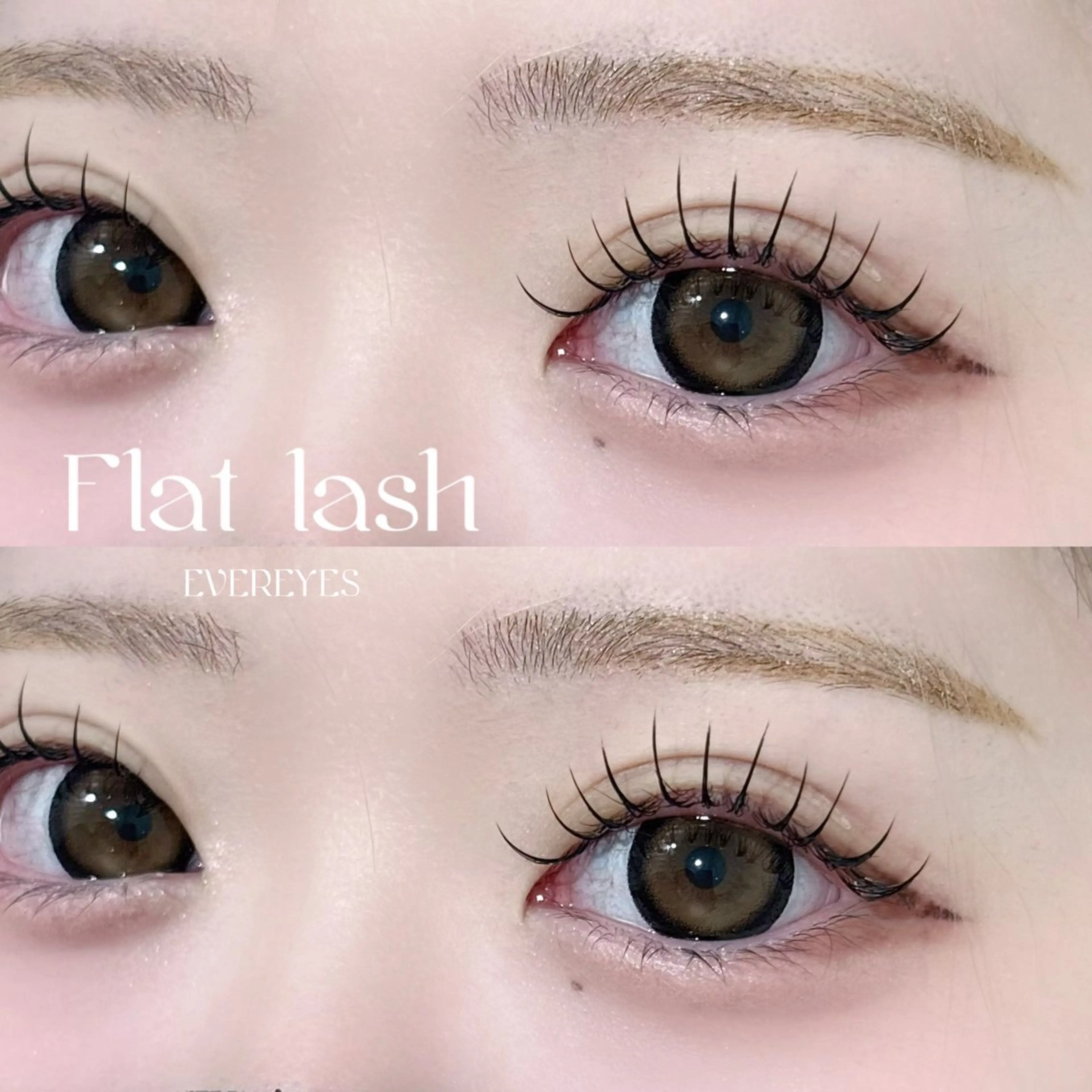 マツエク・マツパ フラットラッシュ マツエク EVEREYES💌 konohaのマツエク・マツパデザイン
