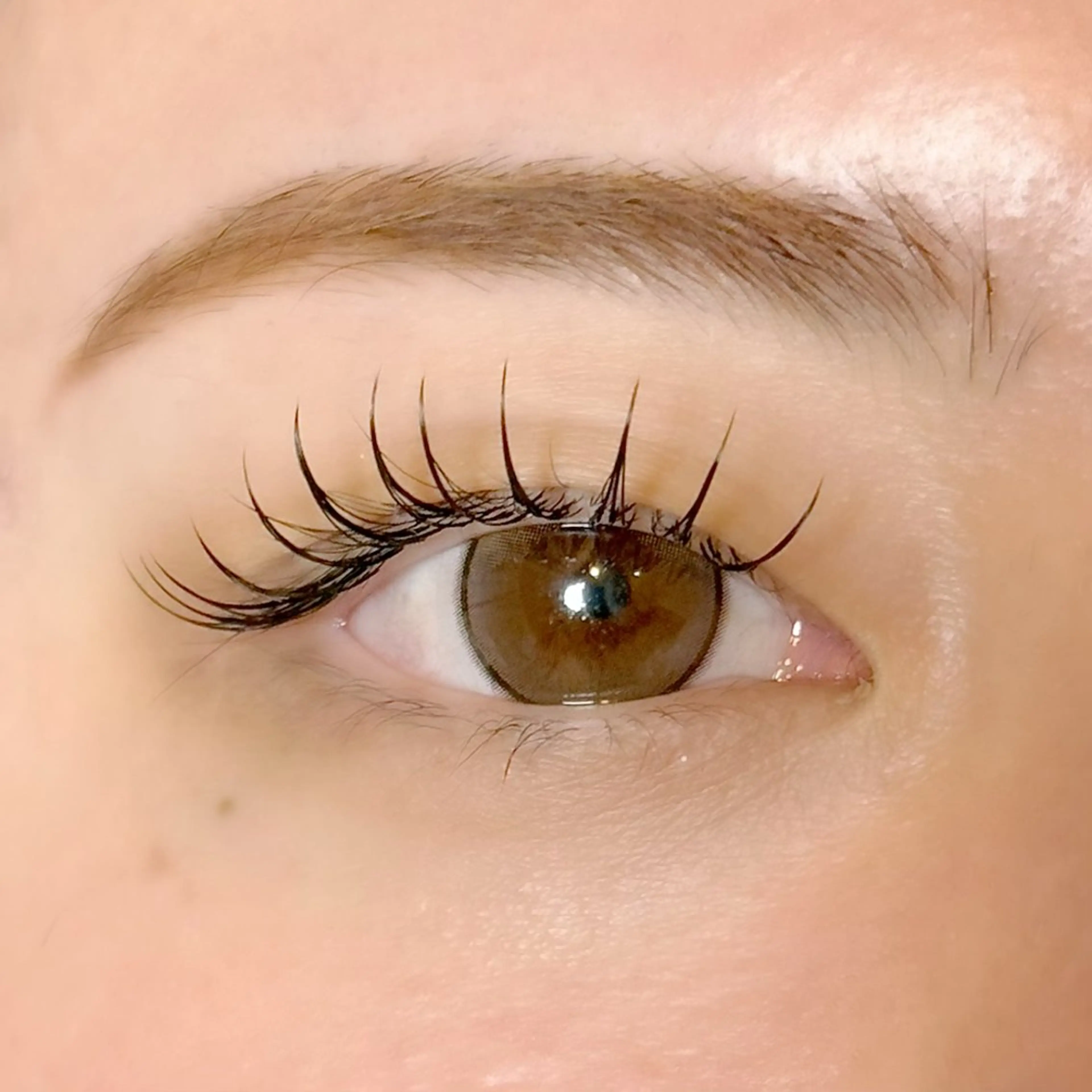 マツエク・マツパ Dazzling Bのマツエク・マツパデザイン