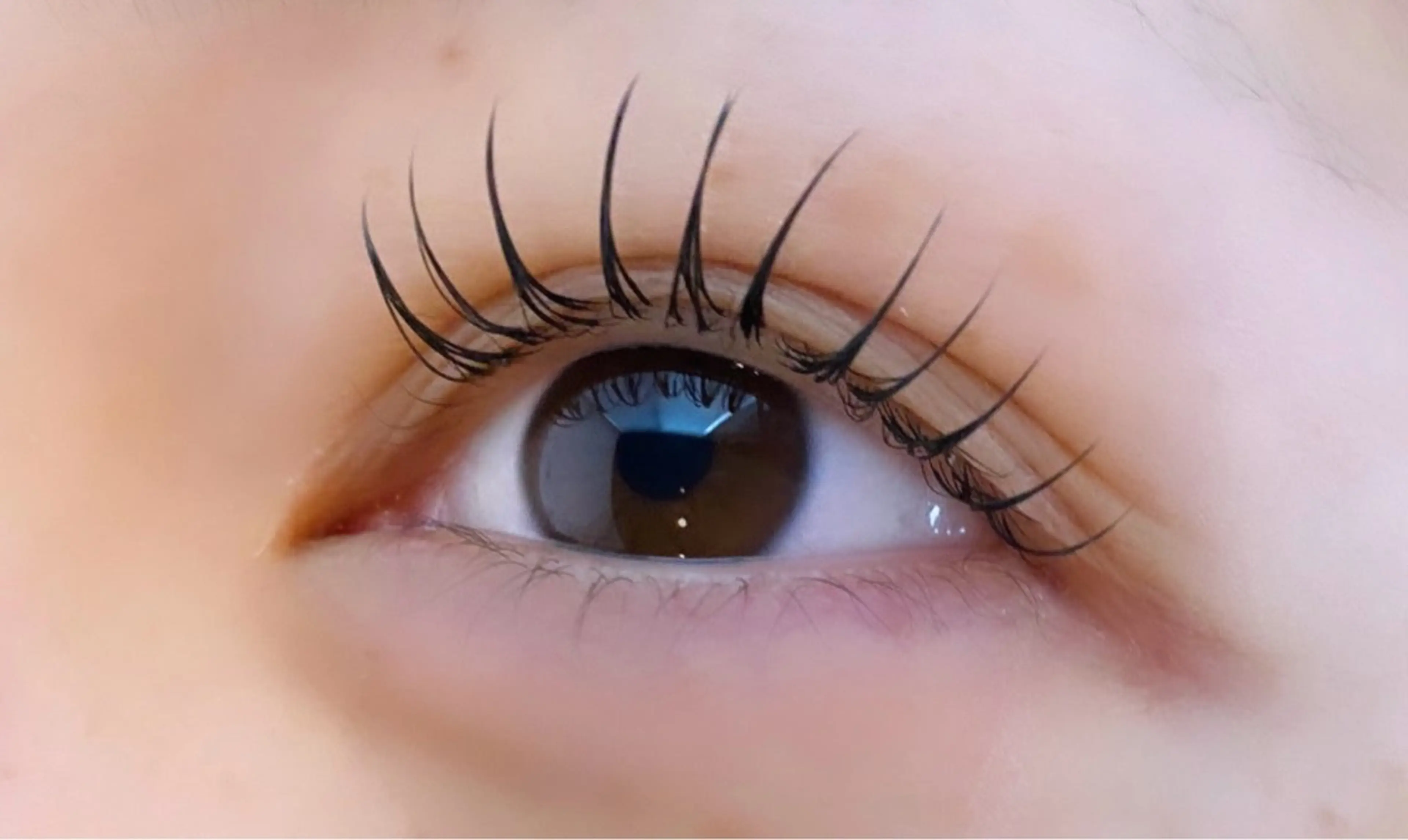 ラッシュリフト¥4500❕オフ＋コーティング無料💓の写真