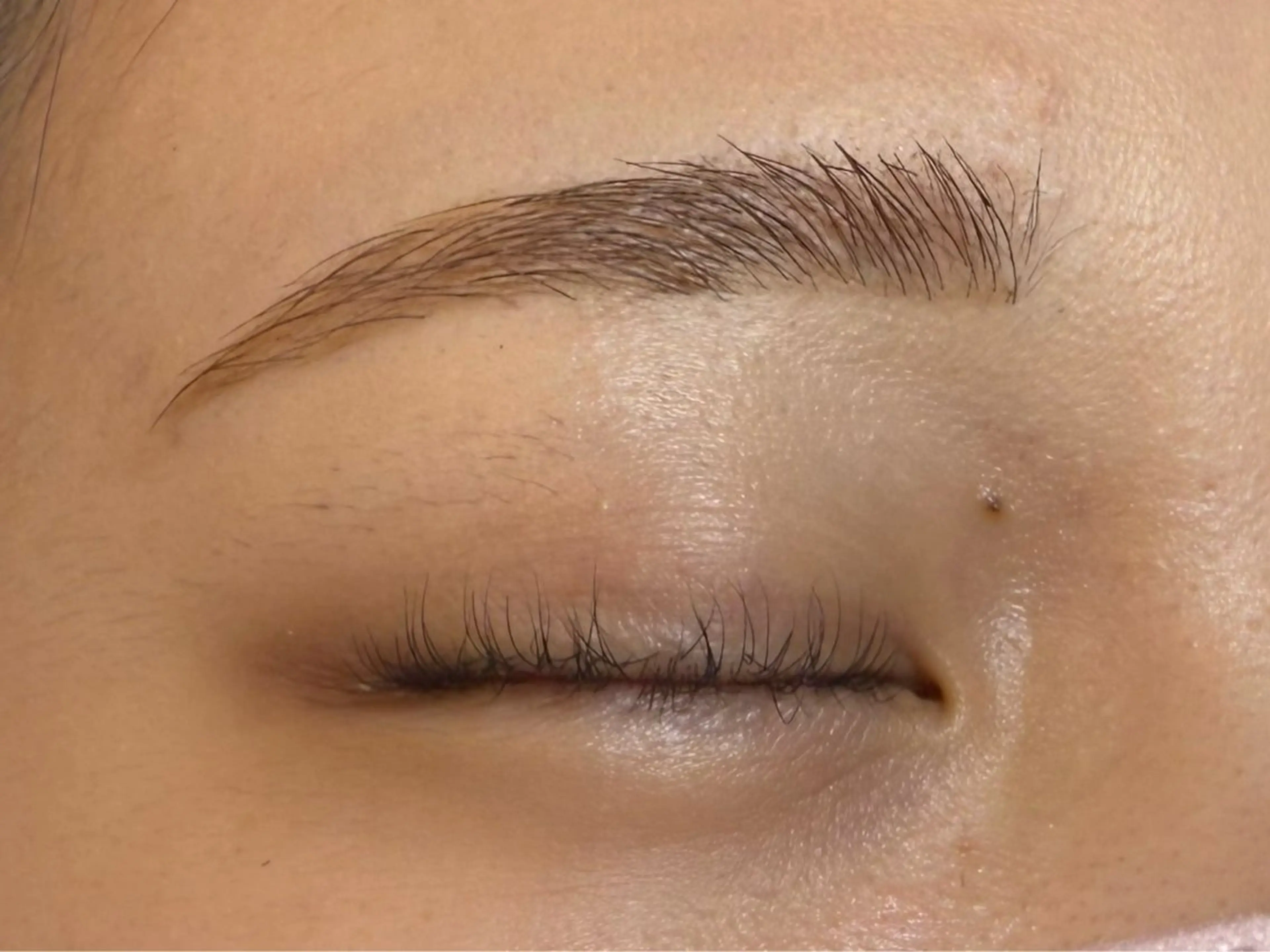 アイブロウWAX無料モデルの写真