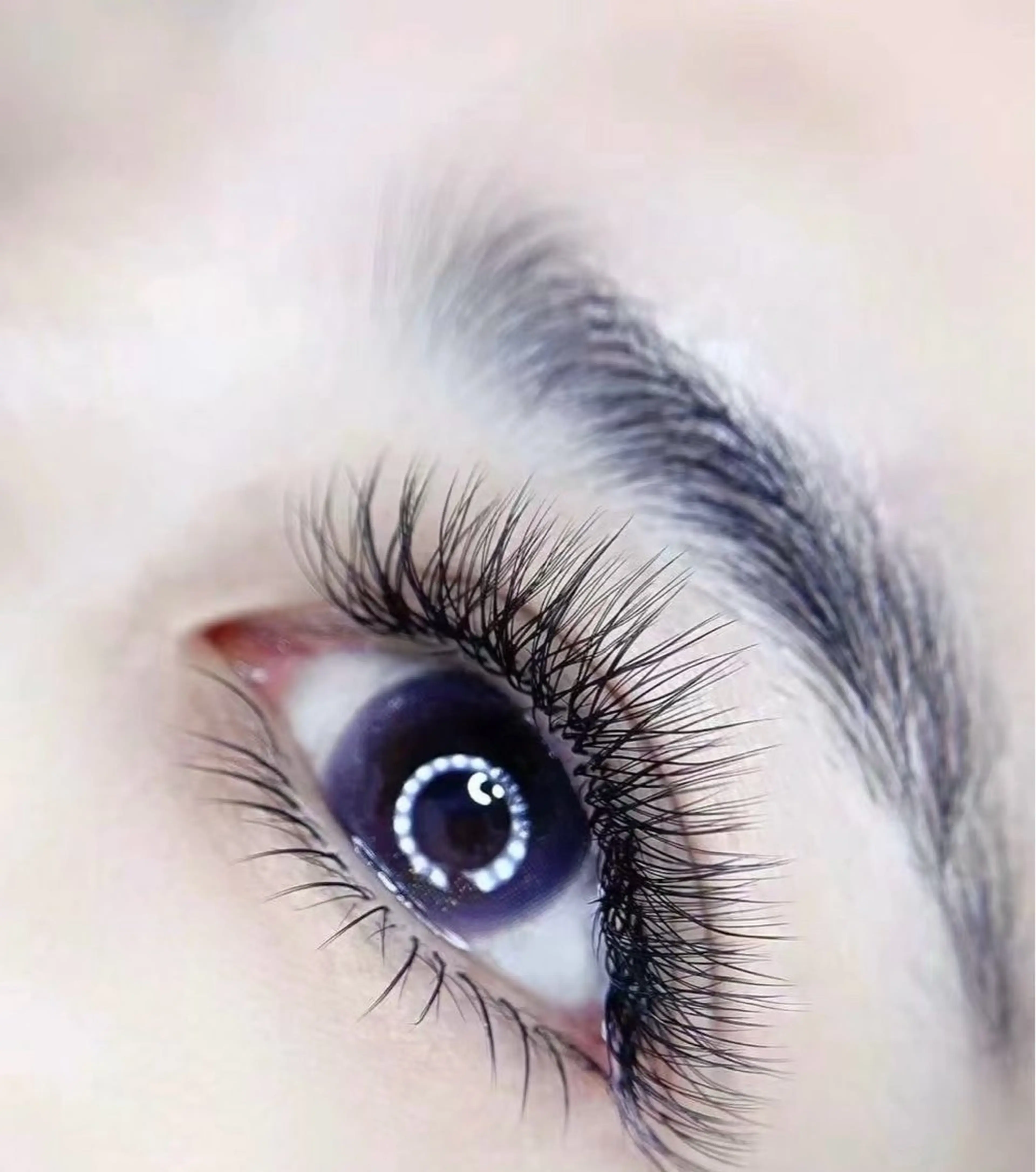 ボリュームラシュウ140本の写真