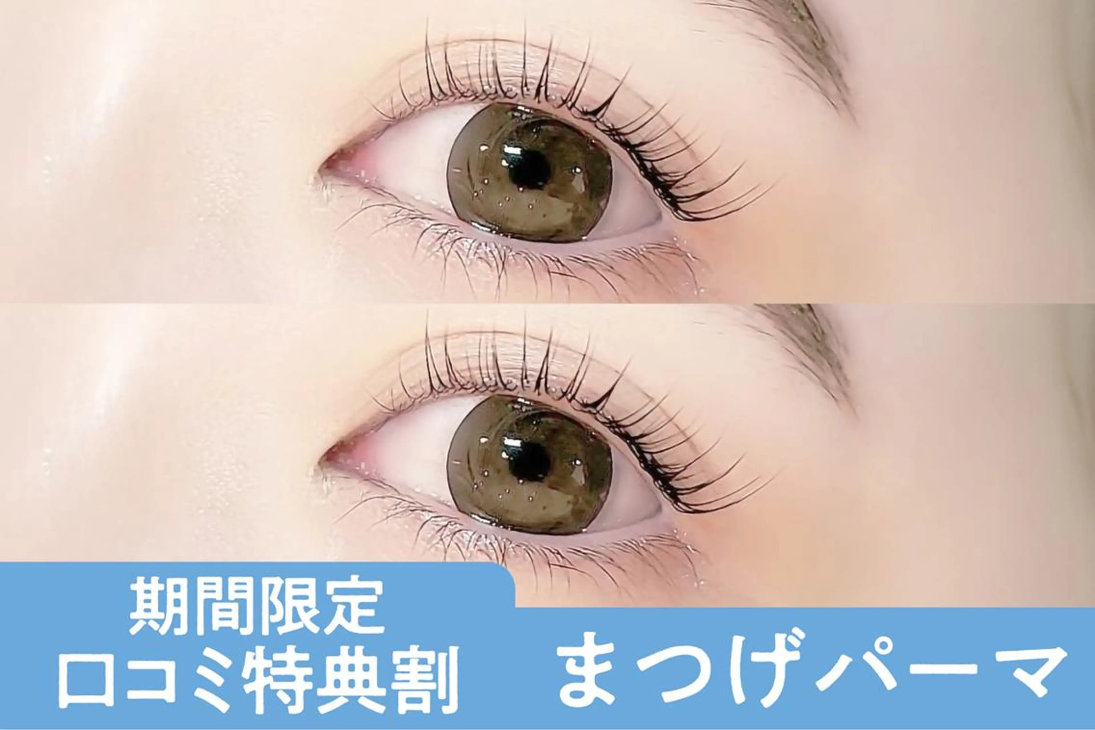 【平日限定】🫧🧸口コミ投稿で限定価格！潤いまつげパーマ🧸🫧【1990円】[新潟]の写真