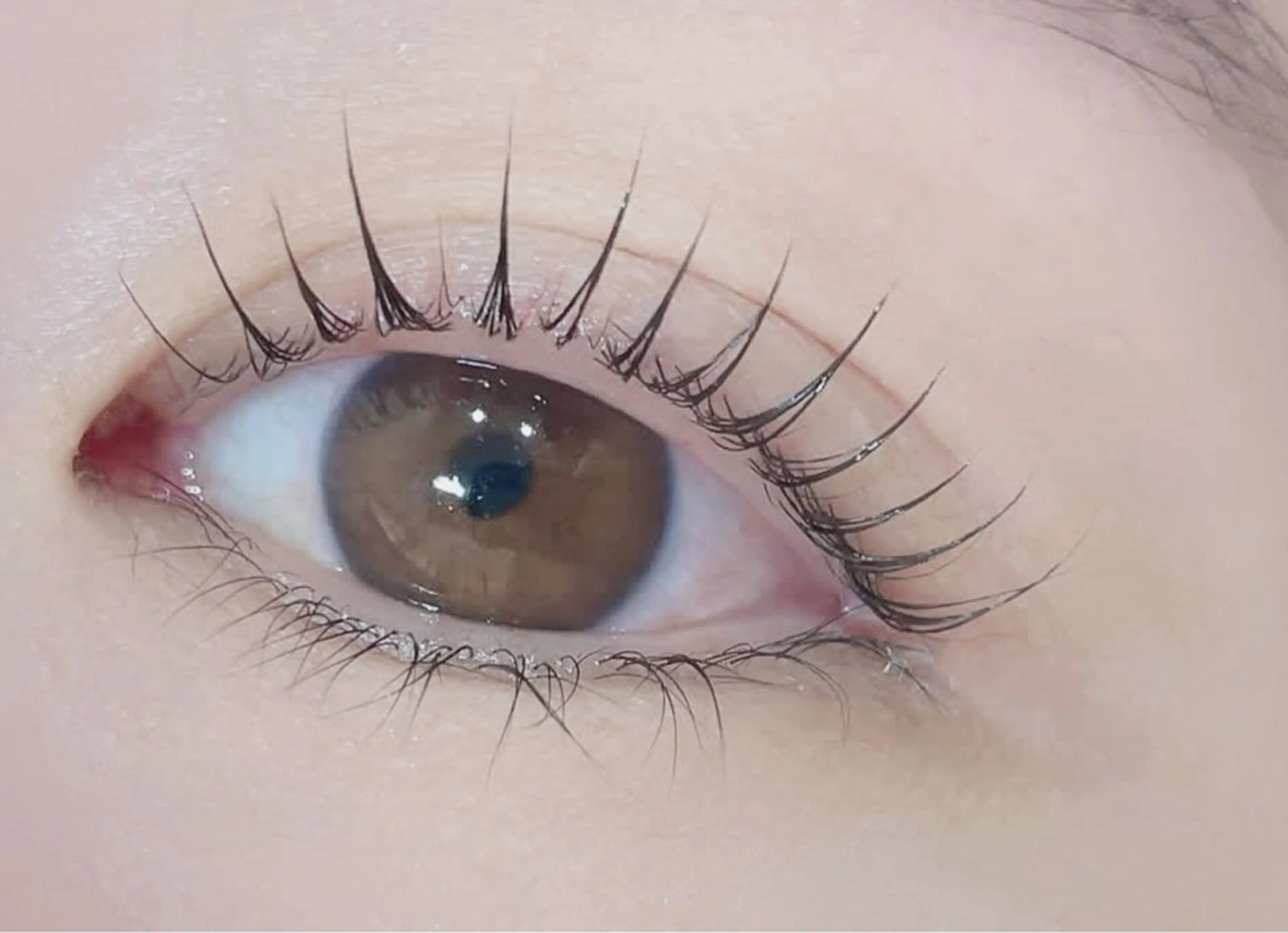 マツエク・マツパ マツパ 🌹ブリランテ🌹 大人気店のマツエク・マツパデザイン