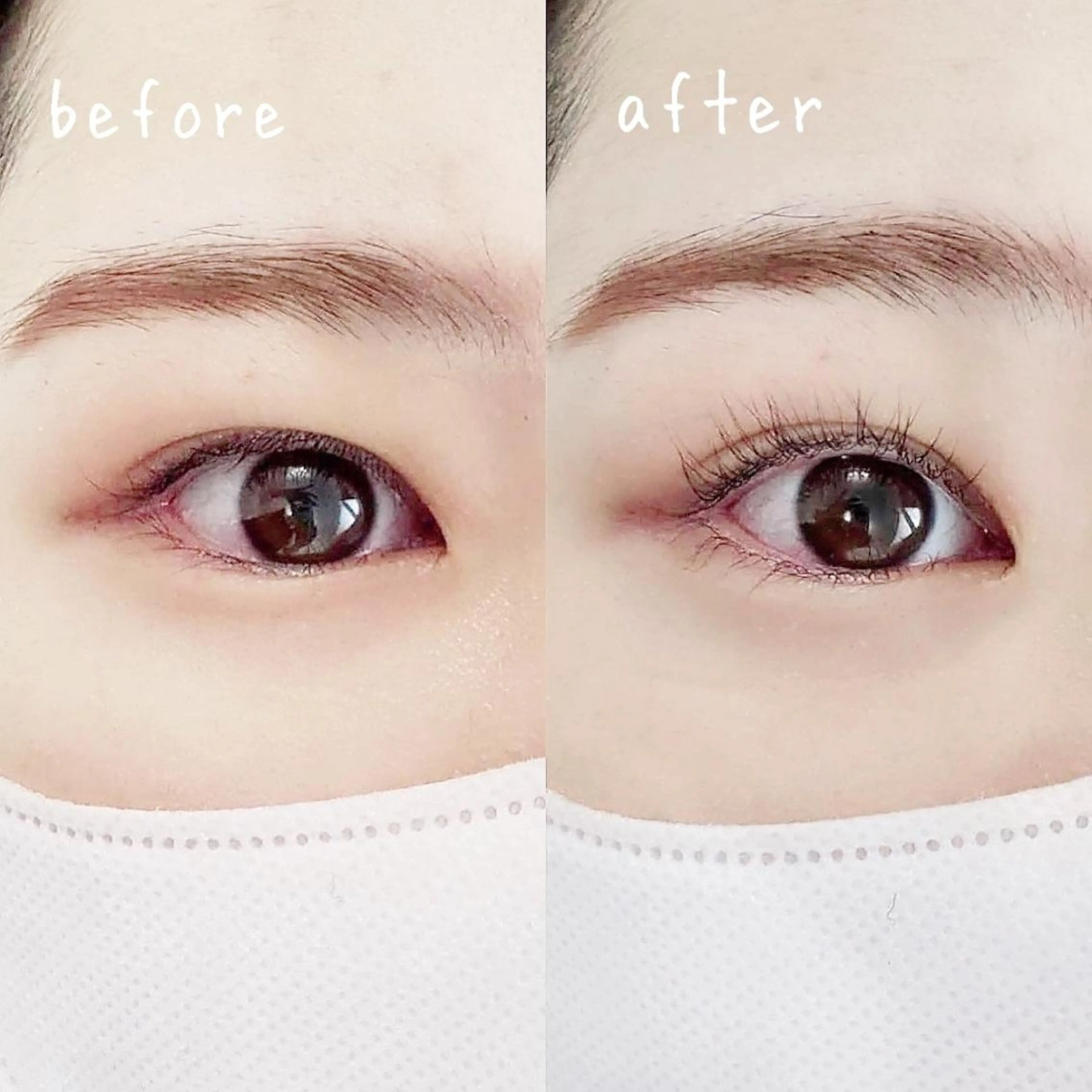 28日限定❣️まつげパーマ上のみ🌟の写真