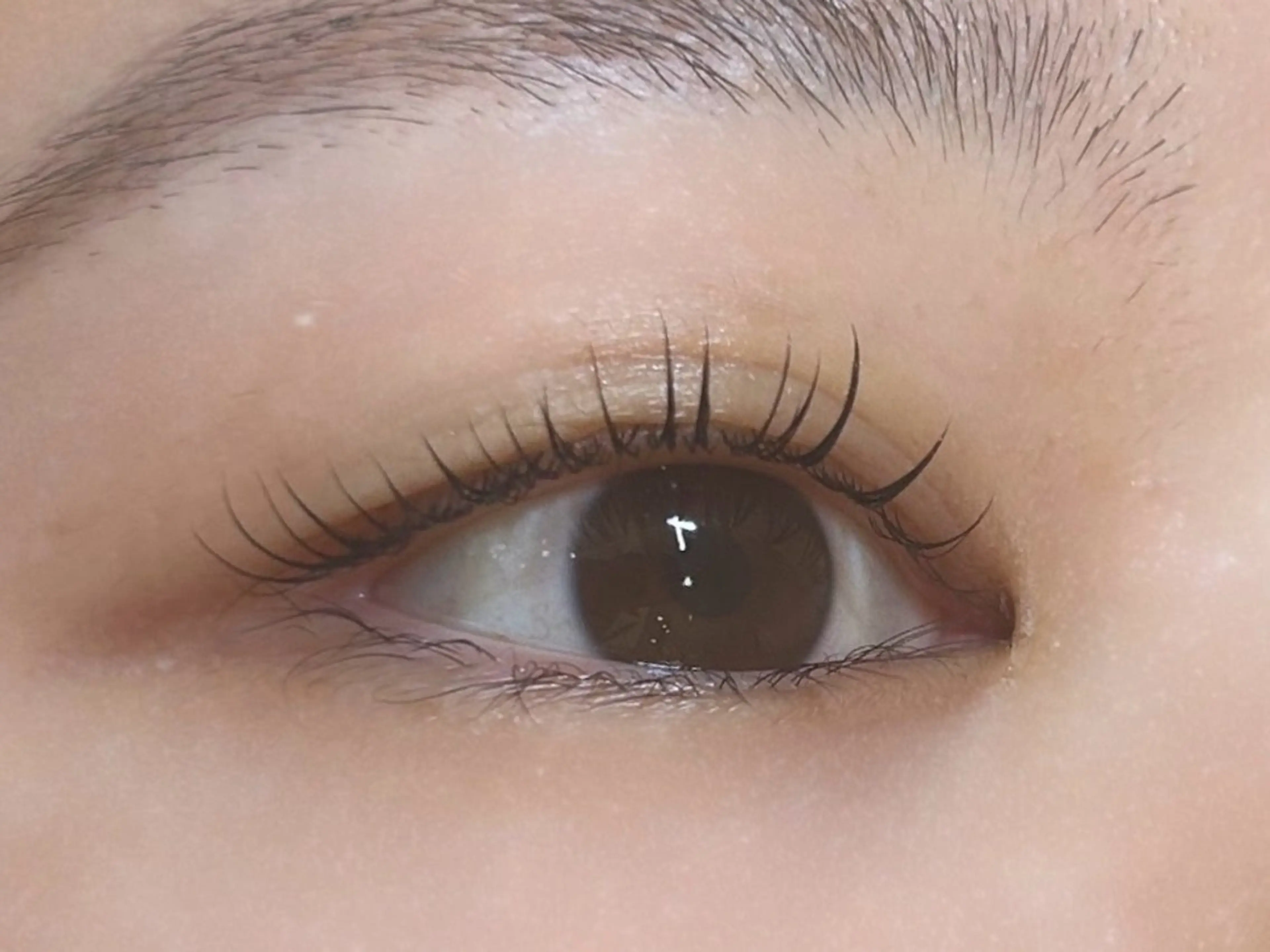 マツエク・マツパ Cカール パリジェンヌラッシュリフト まつげパーマ eight eye aimuのマツエク・マツパデザイン