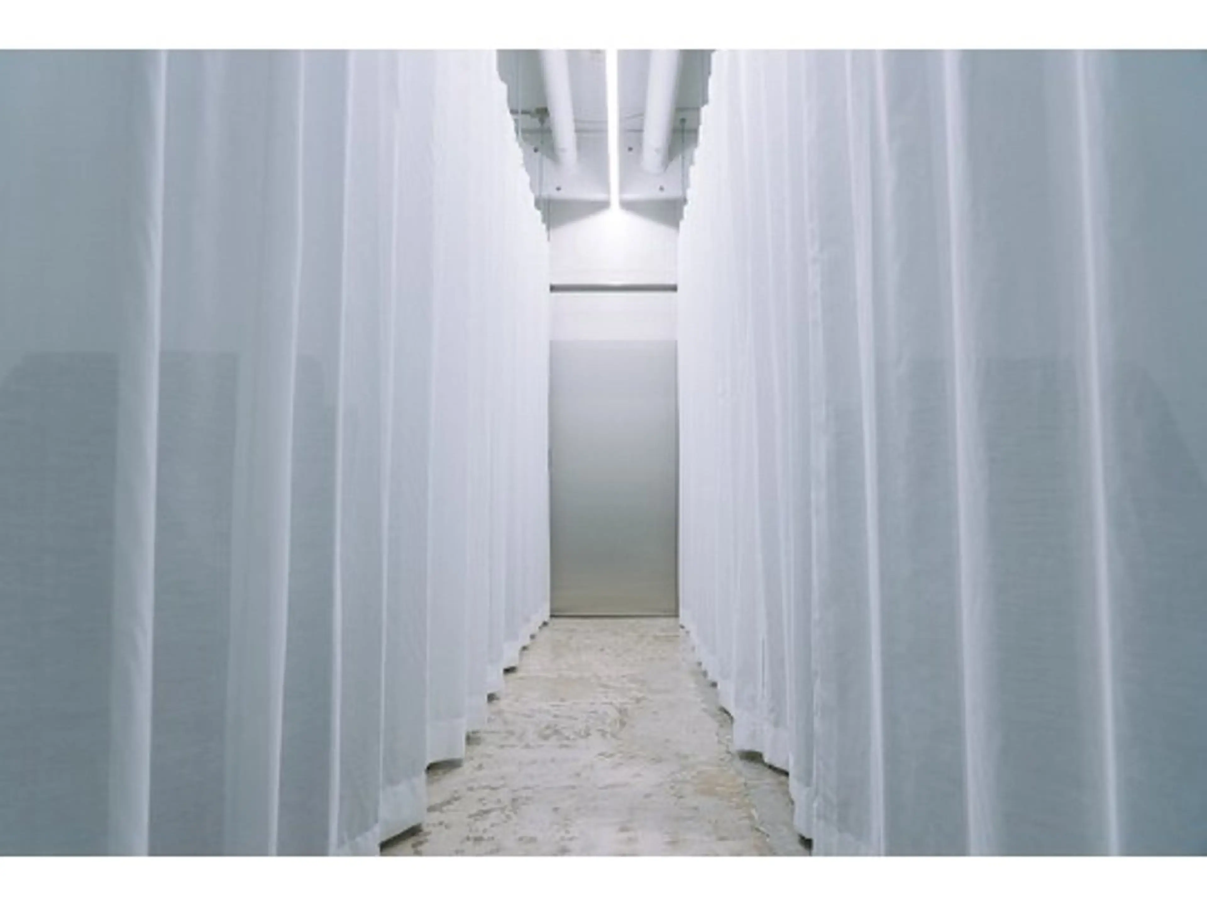 メンズ アイブロウ THE BROW mayuの眉毛・アイブロウイメージ