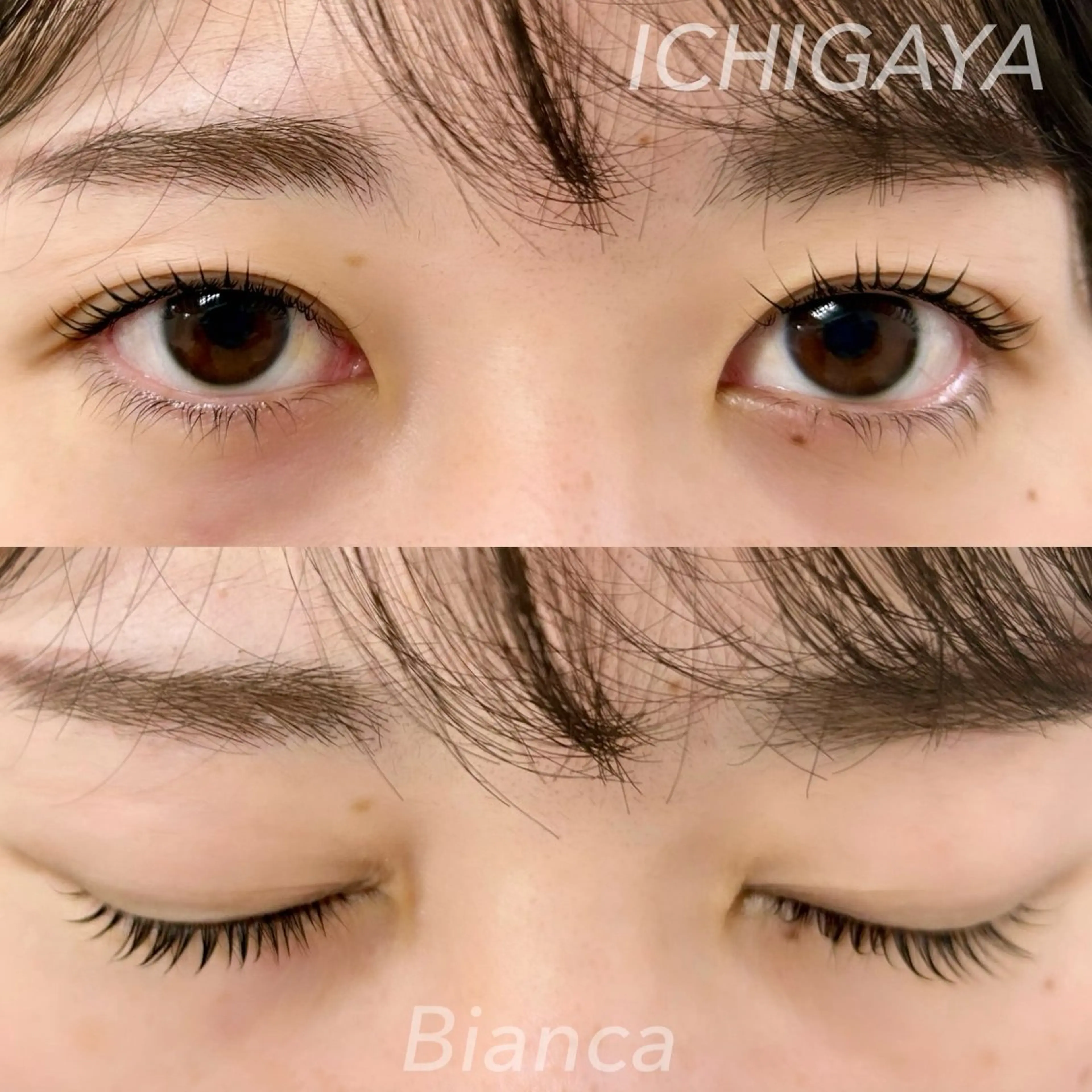 マツエク・マツパ フラットラッシュ パリジェンヌラッシュリフト まつげパーマ ワンホンマツエク マツパ Bianca 市ヶ谷 森川‪ 💗のマツエク・マツパデザイン