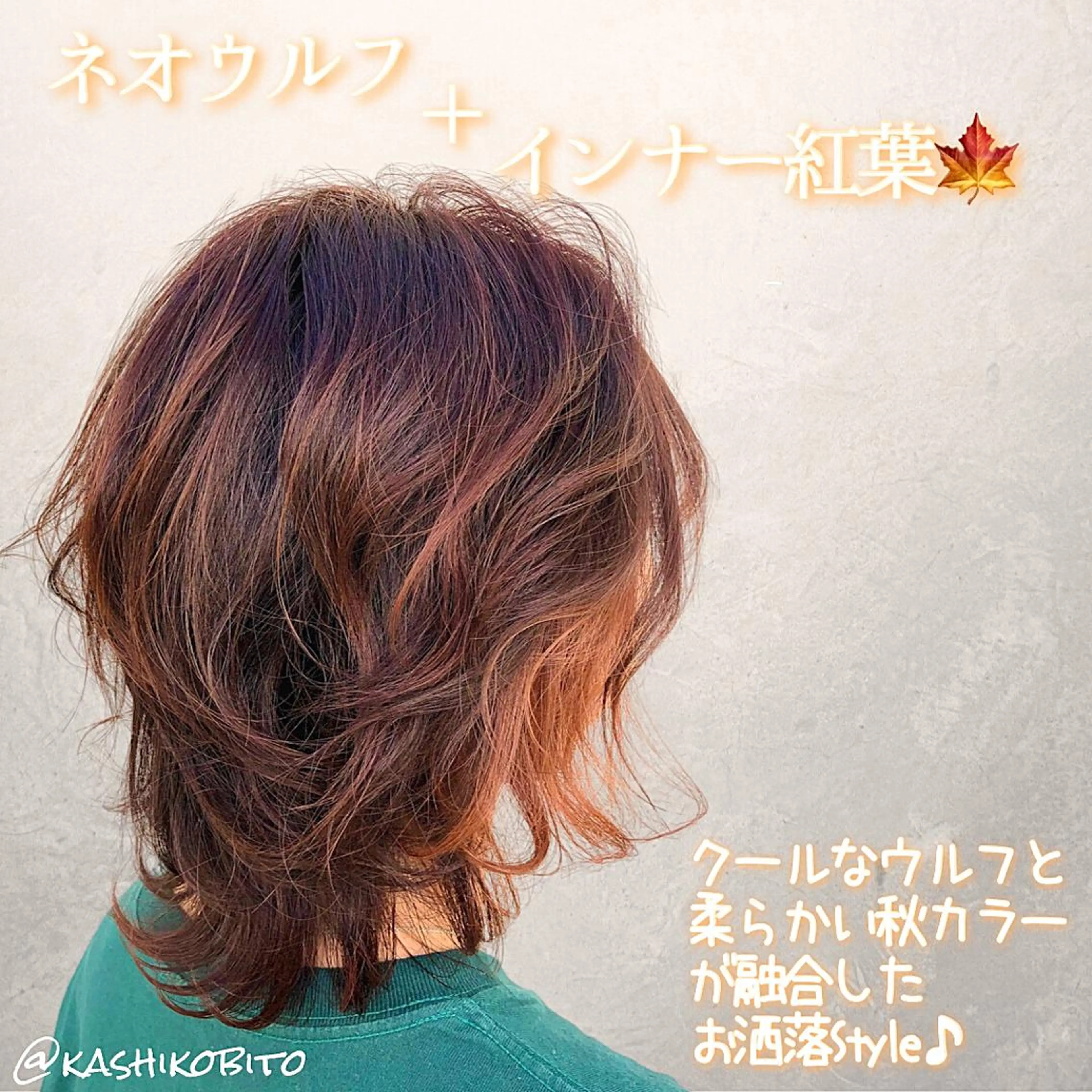 ミディアム カラー ウルフカット ヘアカラー トリートメント RUBEUS【ルベウス】所属・✨艶々カラー🎨 杉本賢人のヘアスタイル