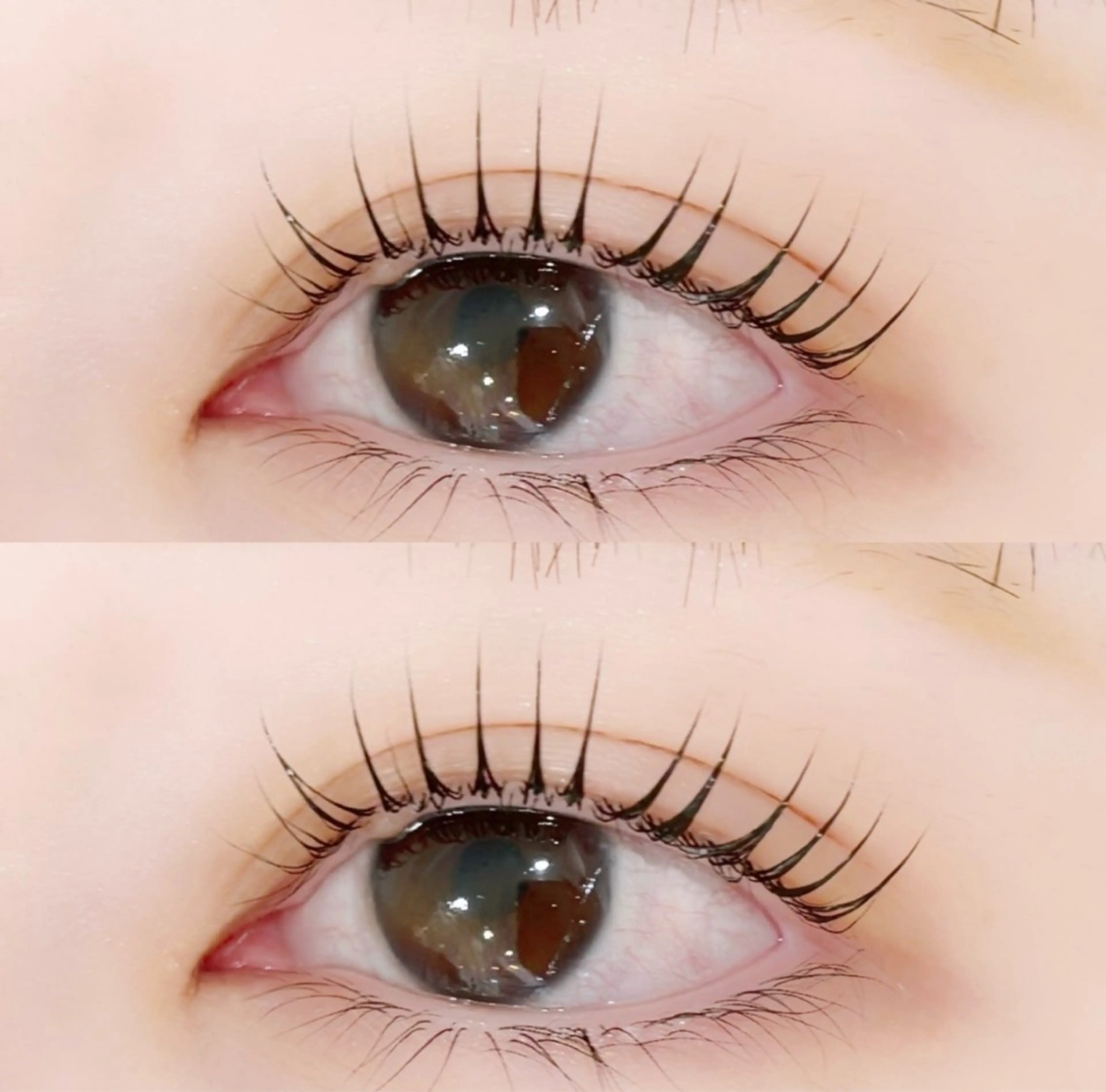 ネイル チョウ Rachaelのネイルデザイン