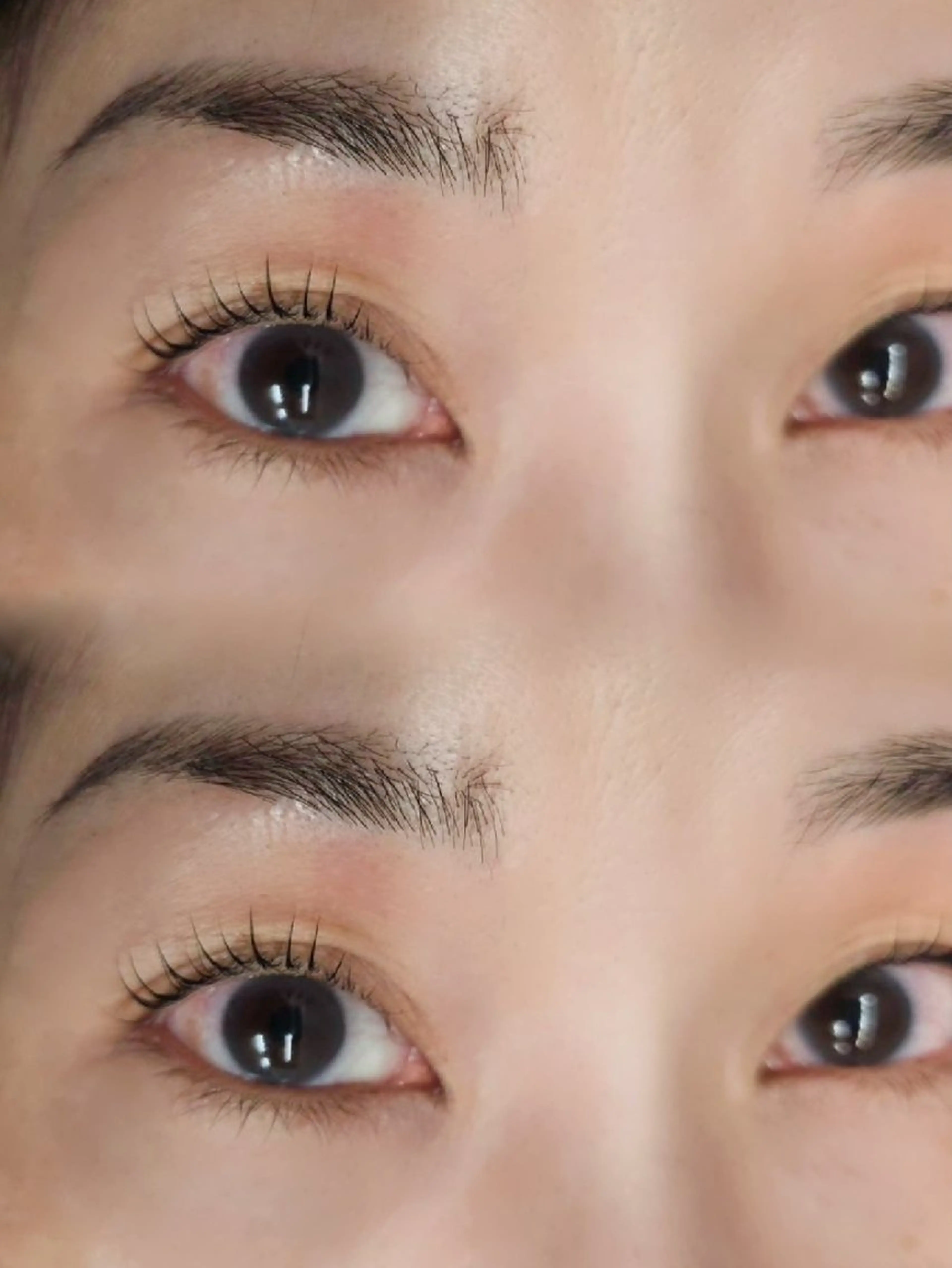 マツエク・マツパ Natural Eyebrow.Cのマツエク・マツパデザイン