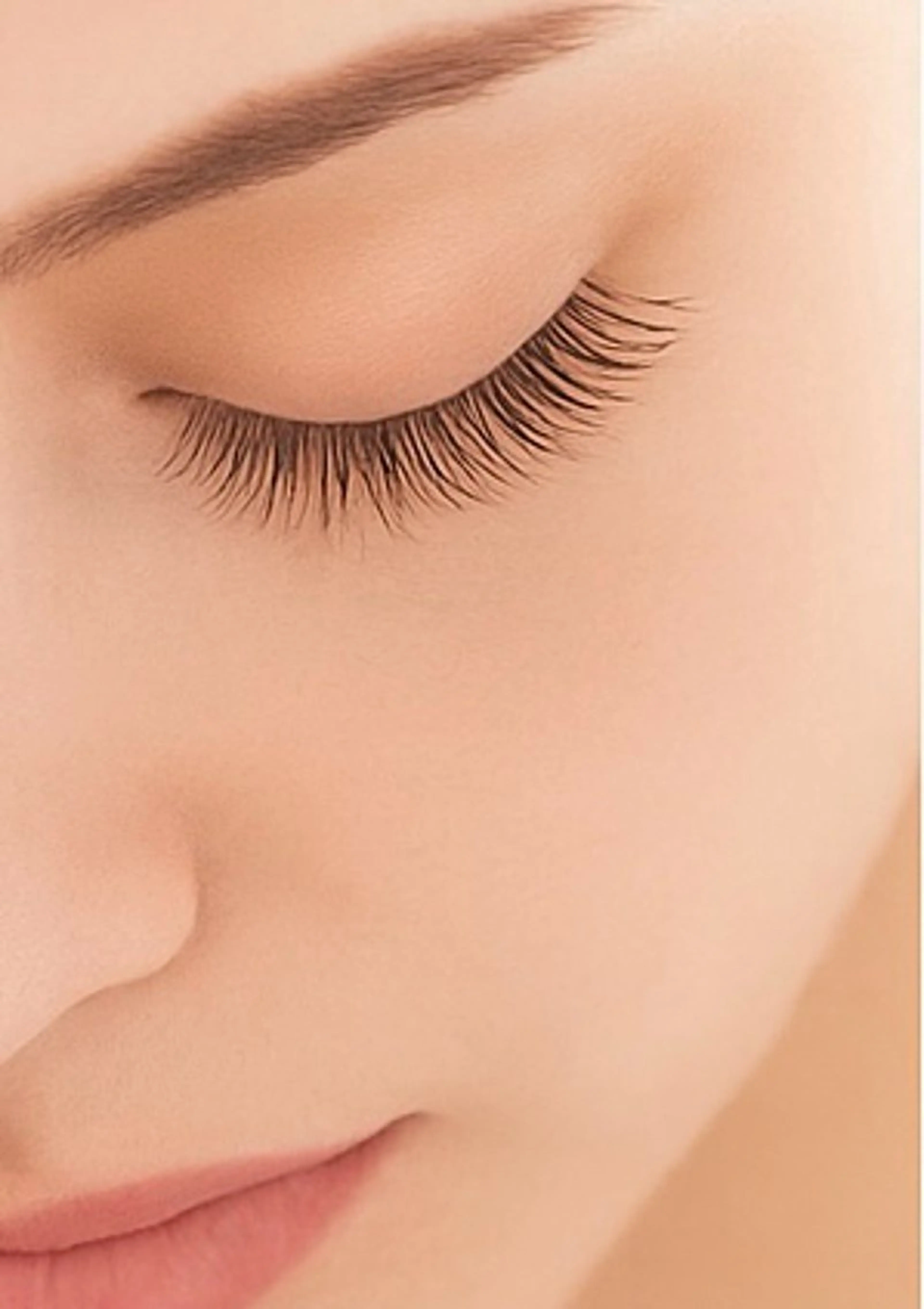 バインドロック100束の写真