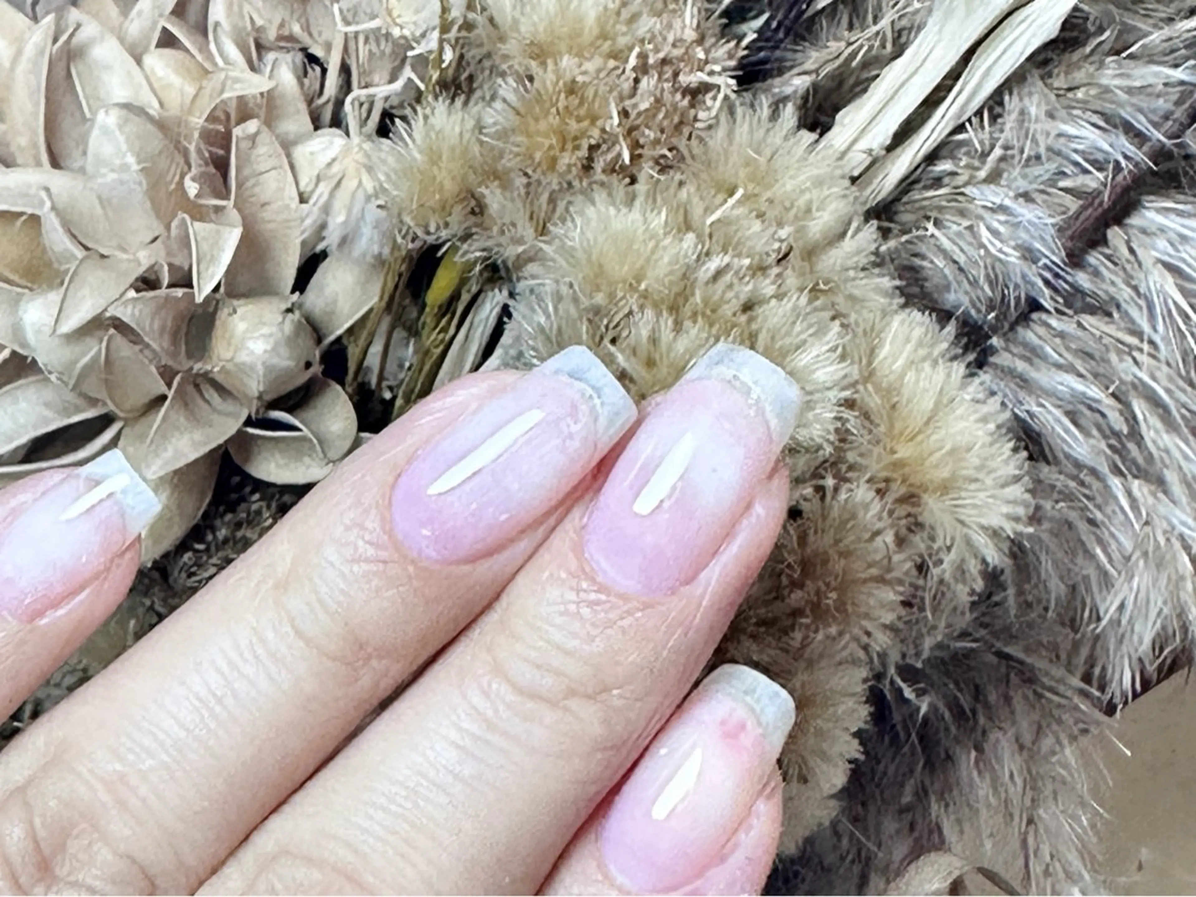 ネイル YUMI ニュアンスnailsのネイルデザイン