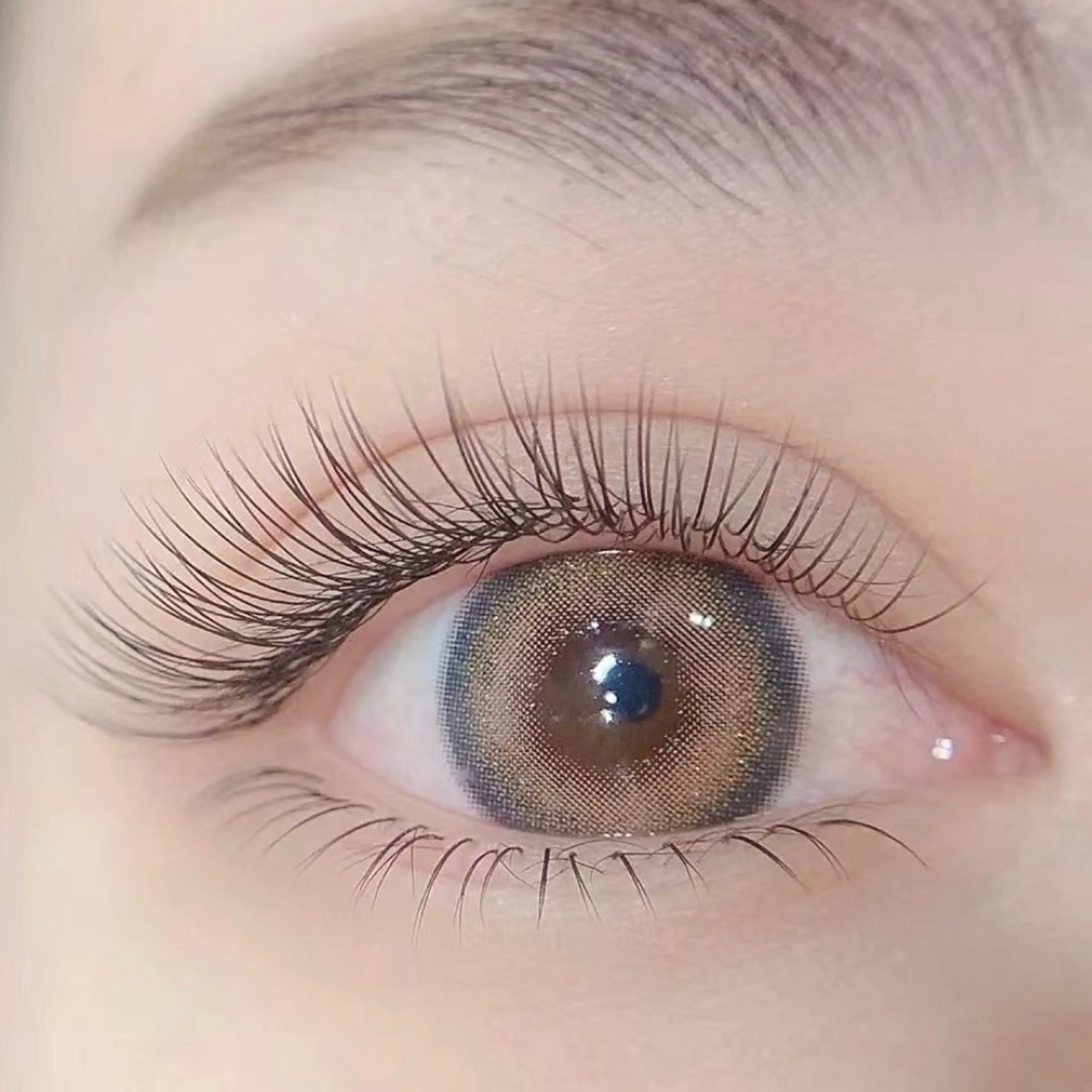 軽く100本フラットラッシュの写真