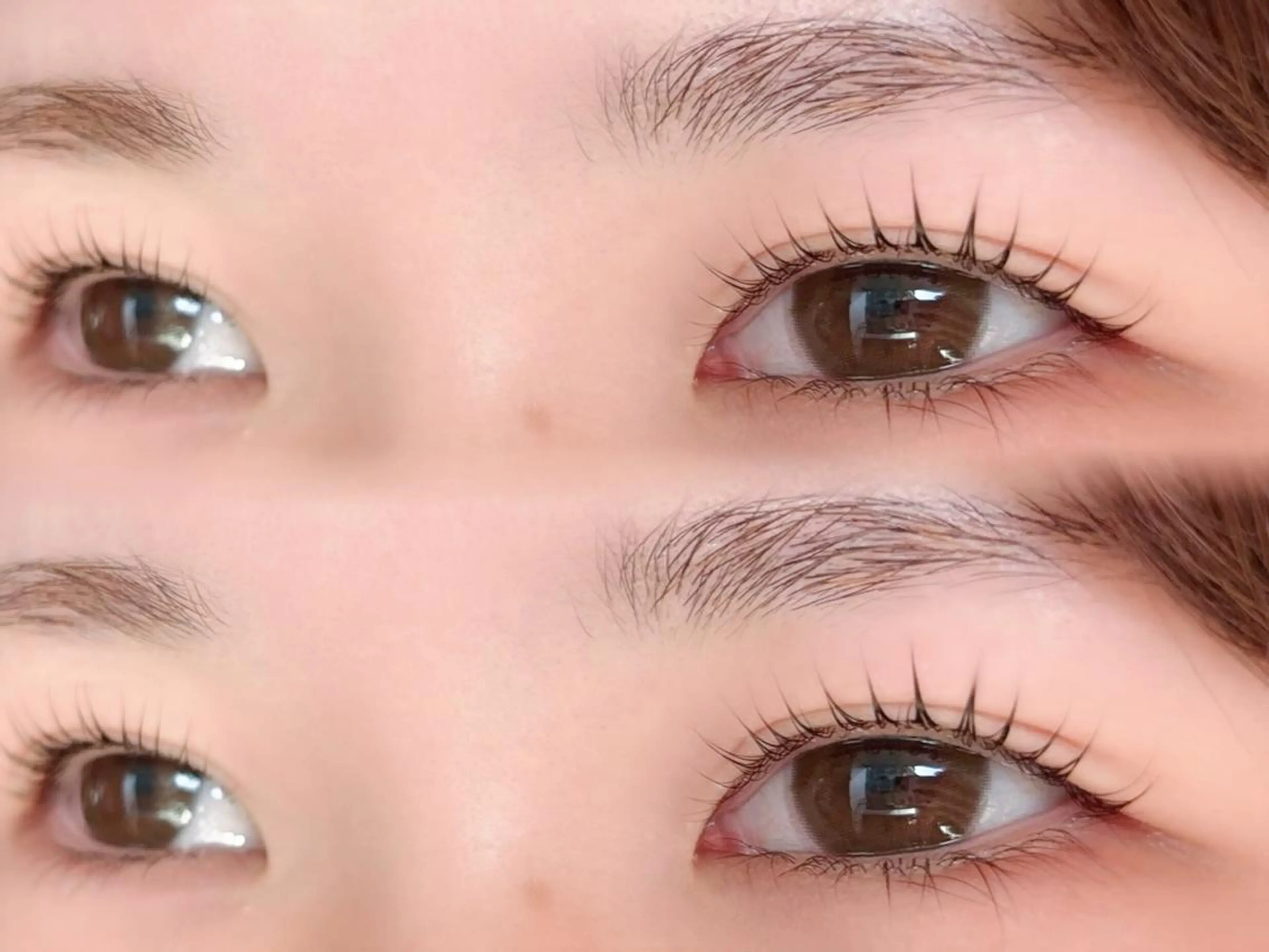 マツエク・マツパ eyelist🪽 ロコラッシュ自由が丘のマツエク・マツパデザイン