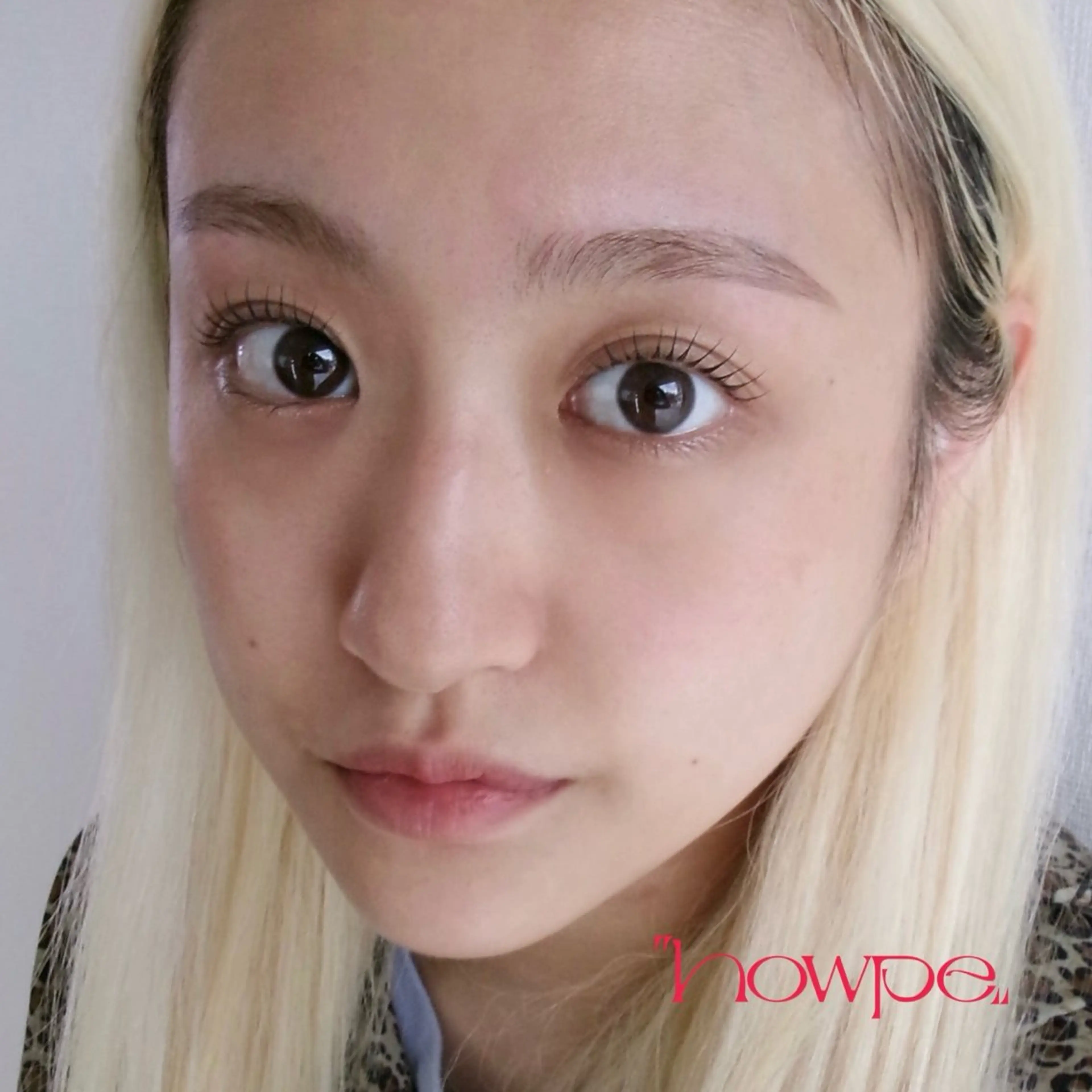 人気No.１‼️browstyling  +  lashlift  眉まつ毛セットの写真