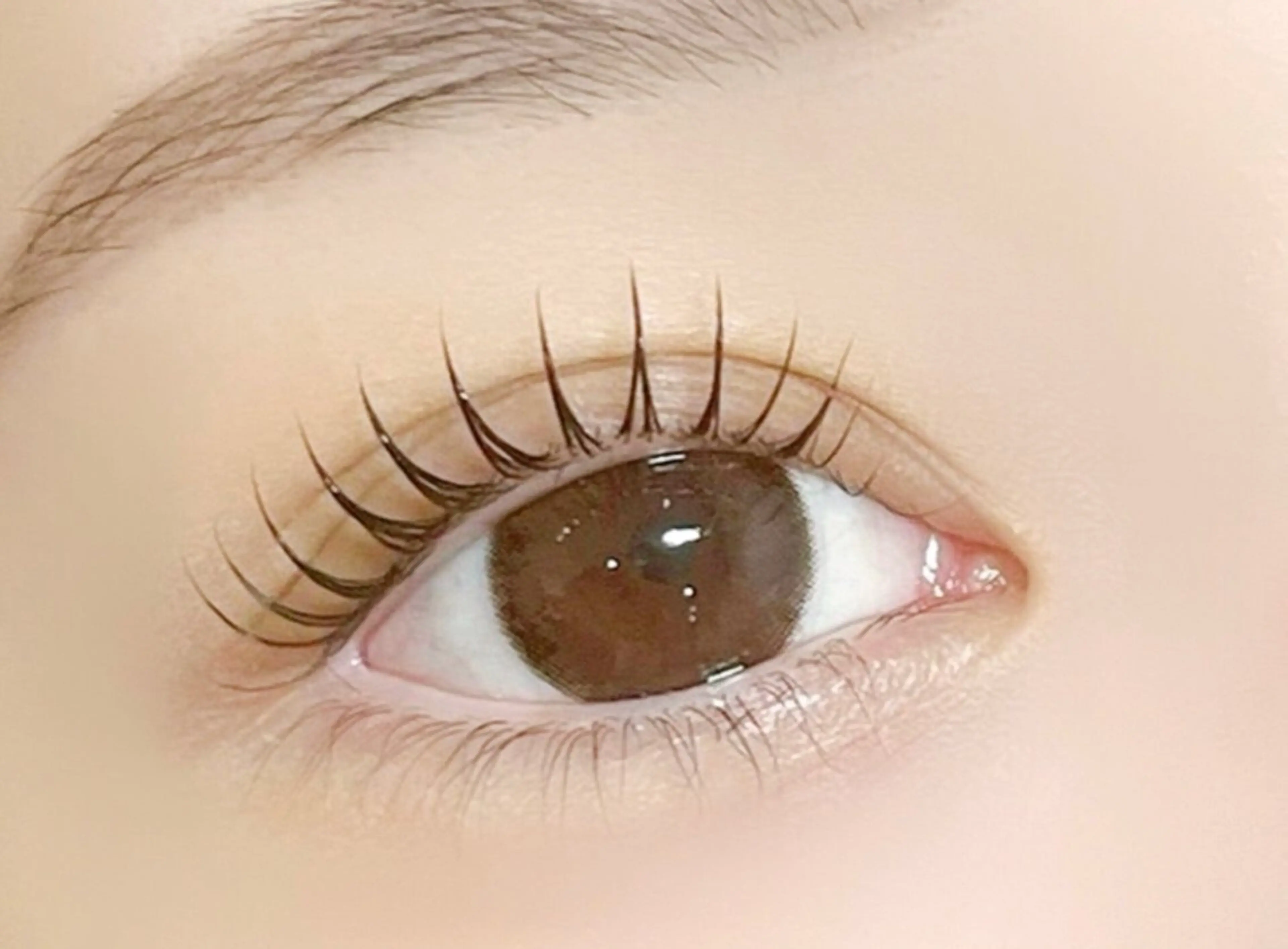 マツエク・マツパ マツパ アレグレス所属・アレグレス@池袋 🌹大人気店🌹のマツエク・マツパデザイン