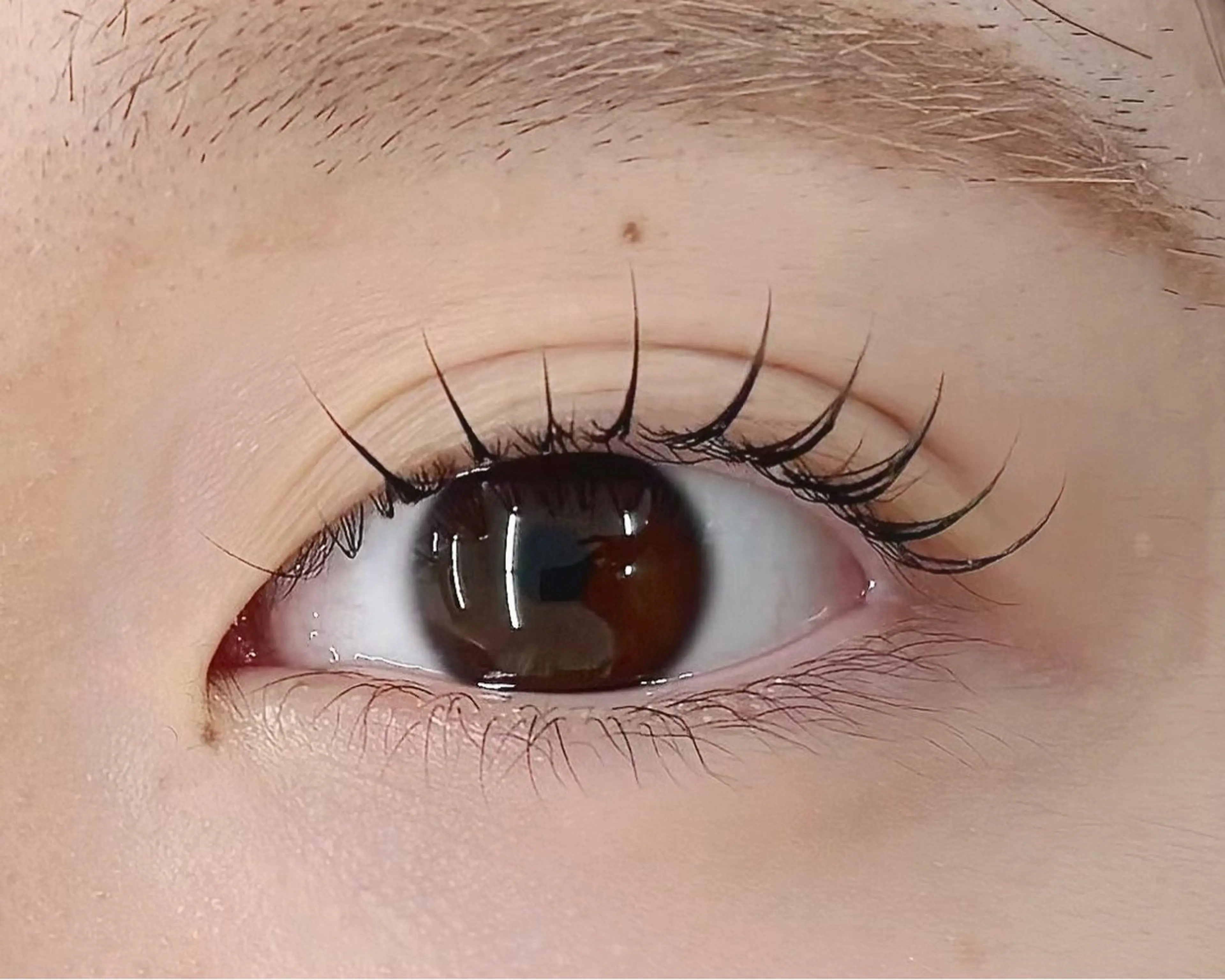 マツエク・マツパ eyelash&nail Lucia 難波店所属・田中 美羽のマツエク・マツパデザイン