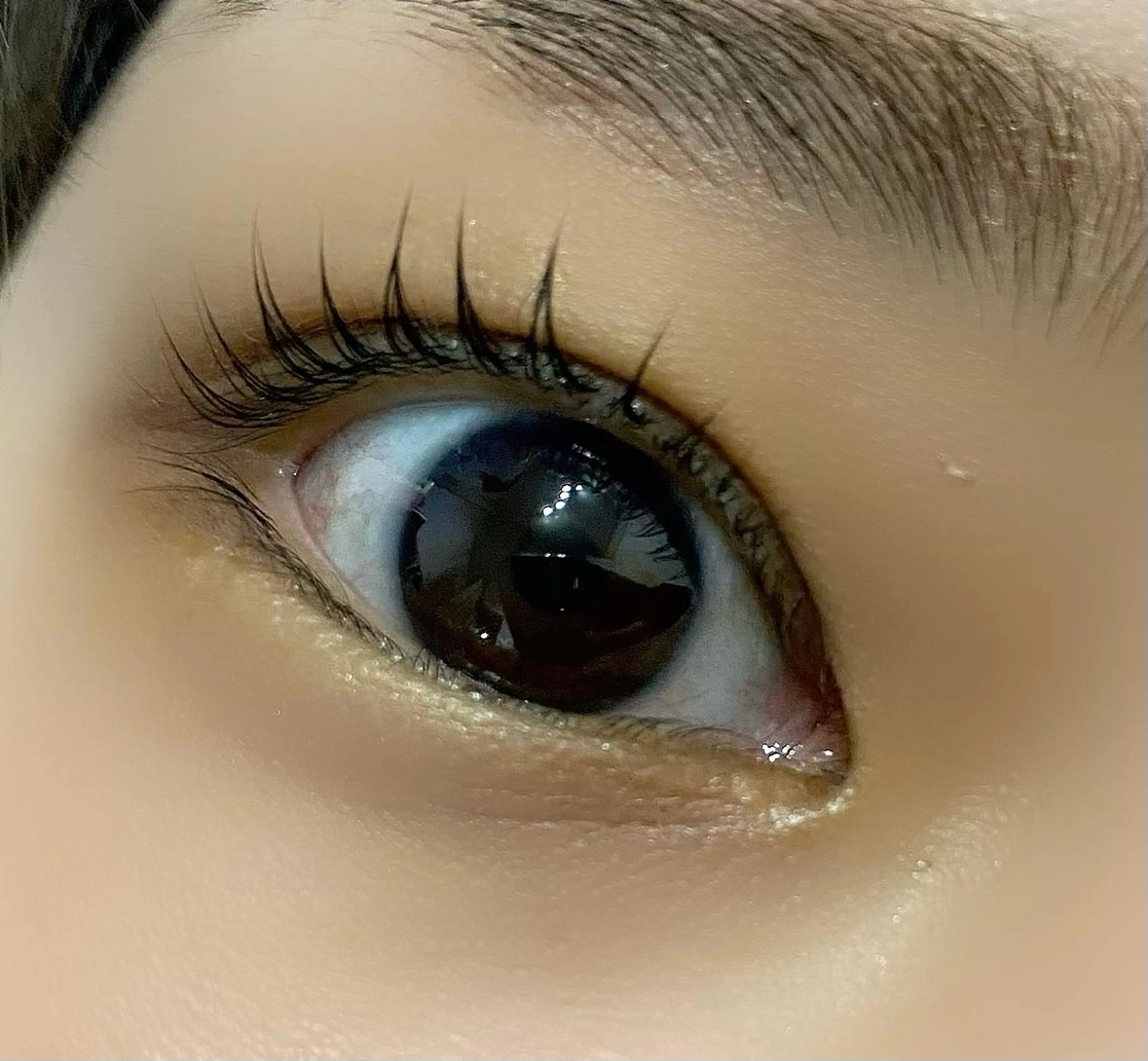 マツエク・マツパ パリジェンヌラッシュリフト Franc2  eyelash所属・Franc2 eyelashのマツエク・マツパデザイン