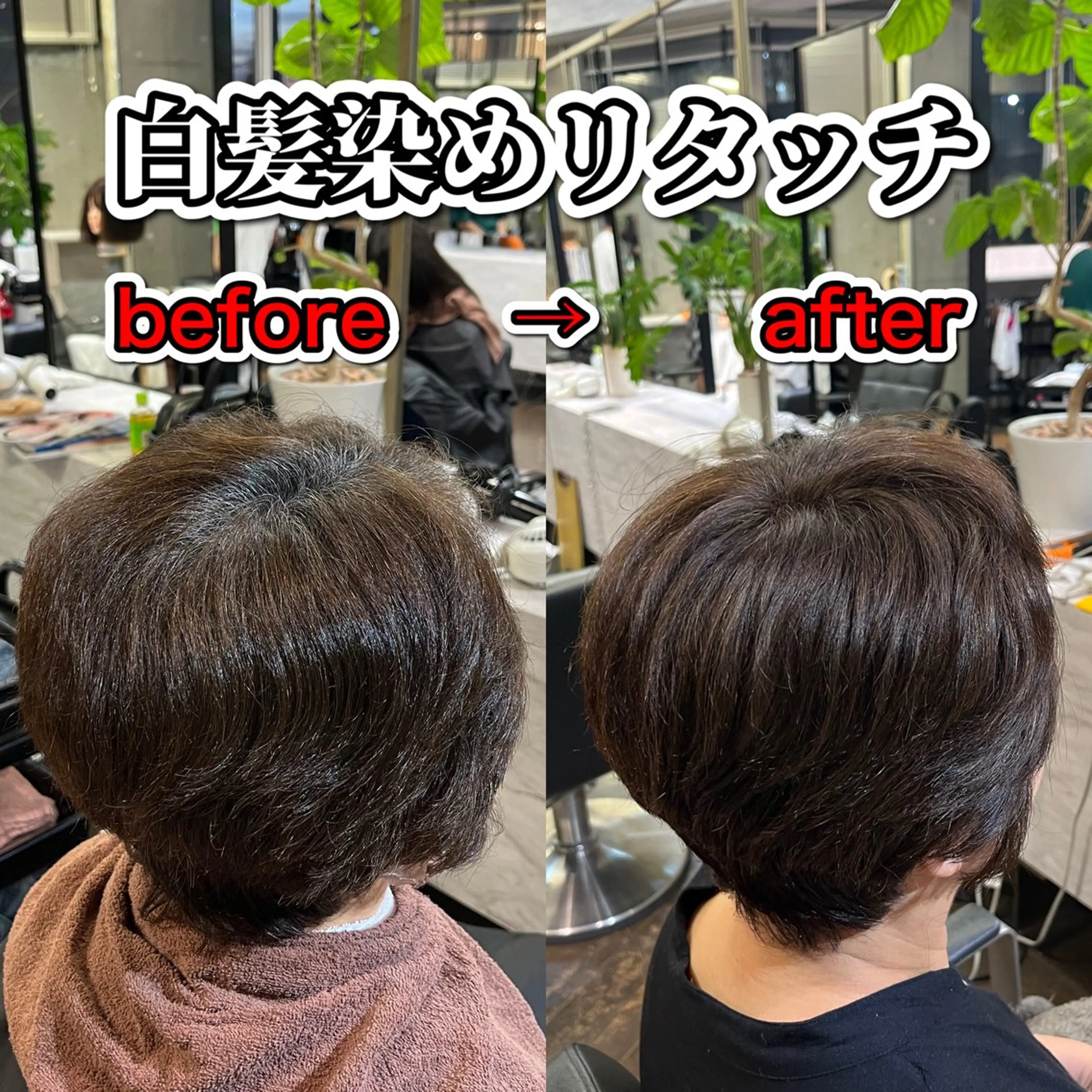 【限定価格✨️】白髪染めリタッチ(根元染め)根元の白髪が気になり始めた方は是非‼️✨️😊の写真