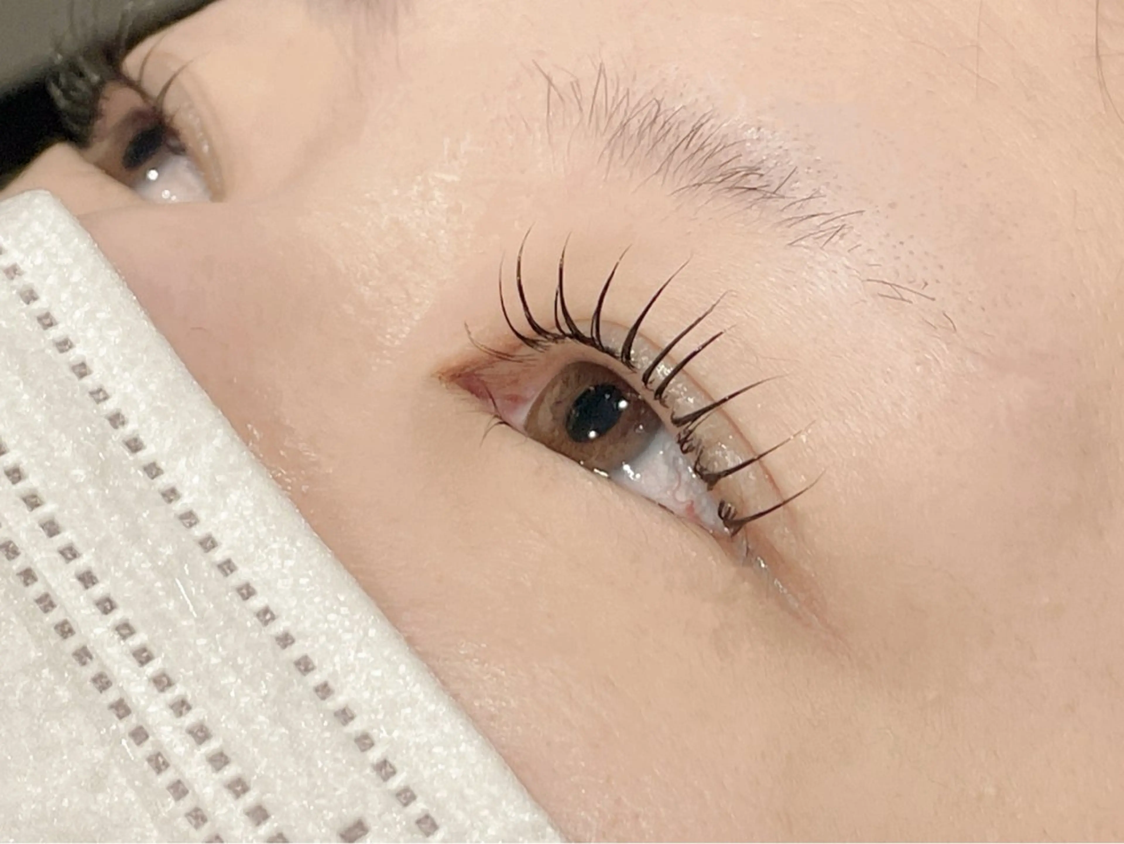 マツエク・マツパ ダリアビューティー所属・LEDエクステ🫧 ダリアビューティーのマツエク・マツパデザイン