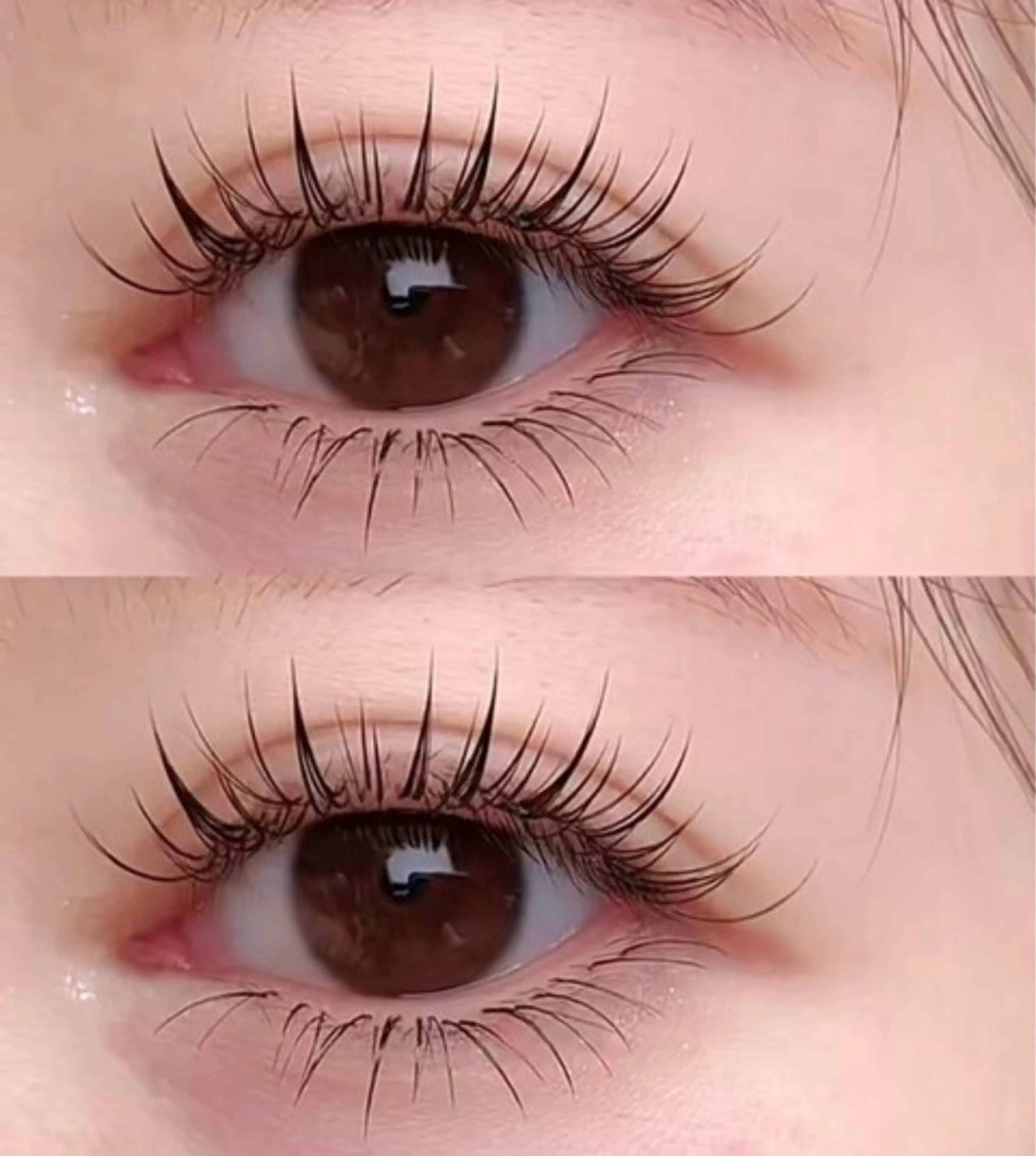 新規まつエク その他まつげメニューその他【パリジェンヌ& LEDエクステ】100本の写真