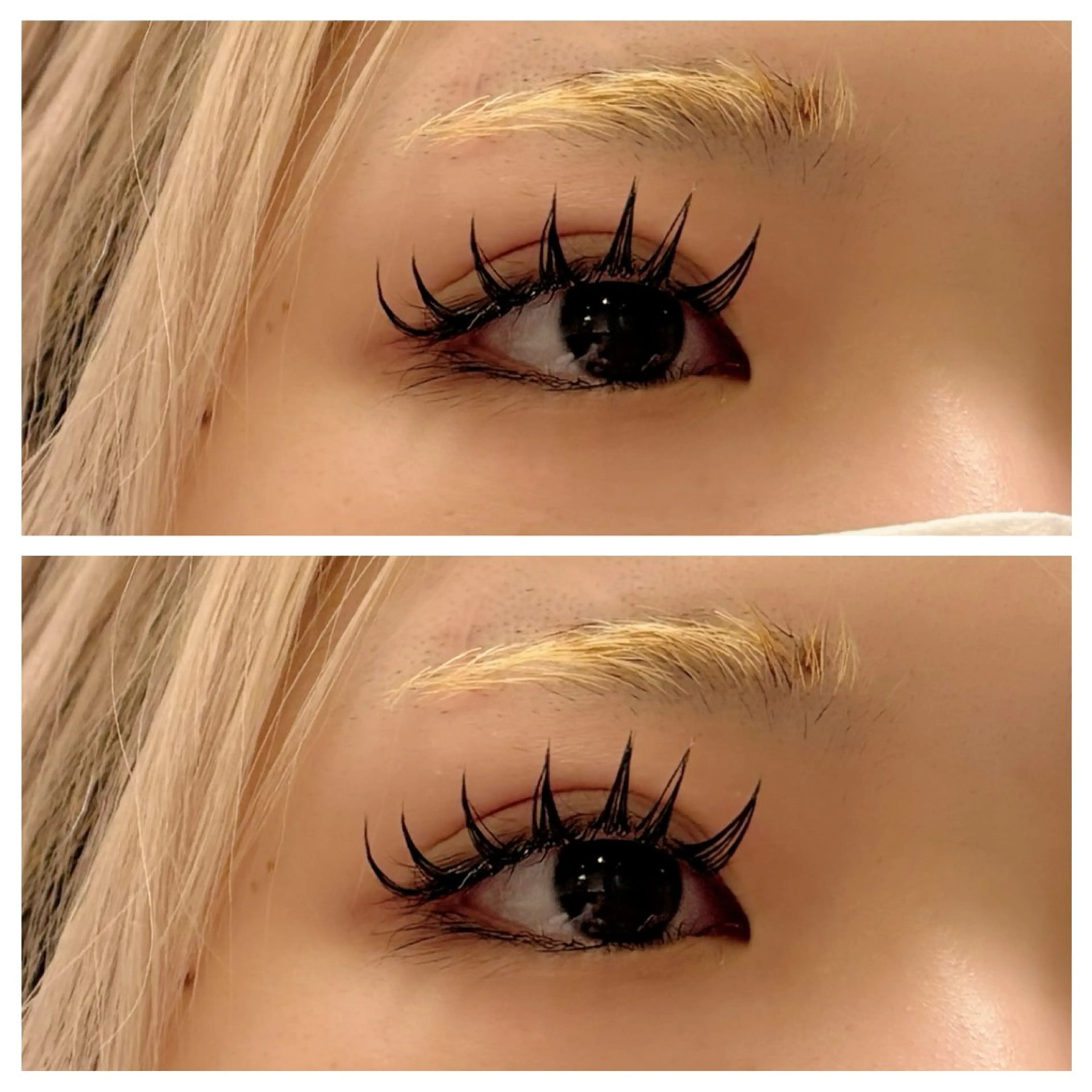 マツエク・マツパ マツエク Ayumi.dre 🌸Y《2階》のマツエク・マツパデザイン