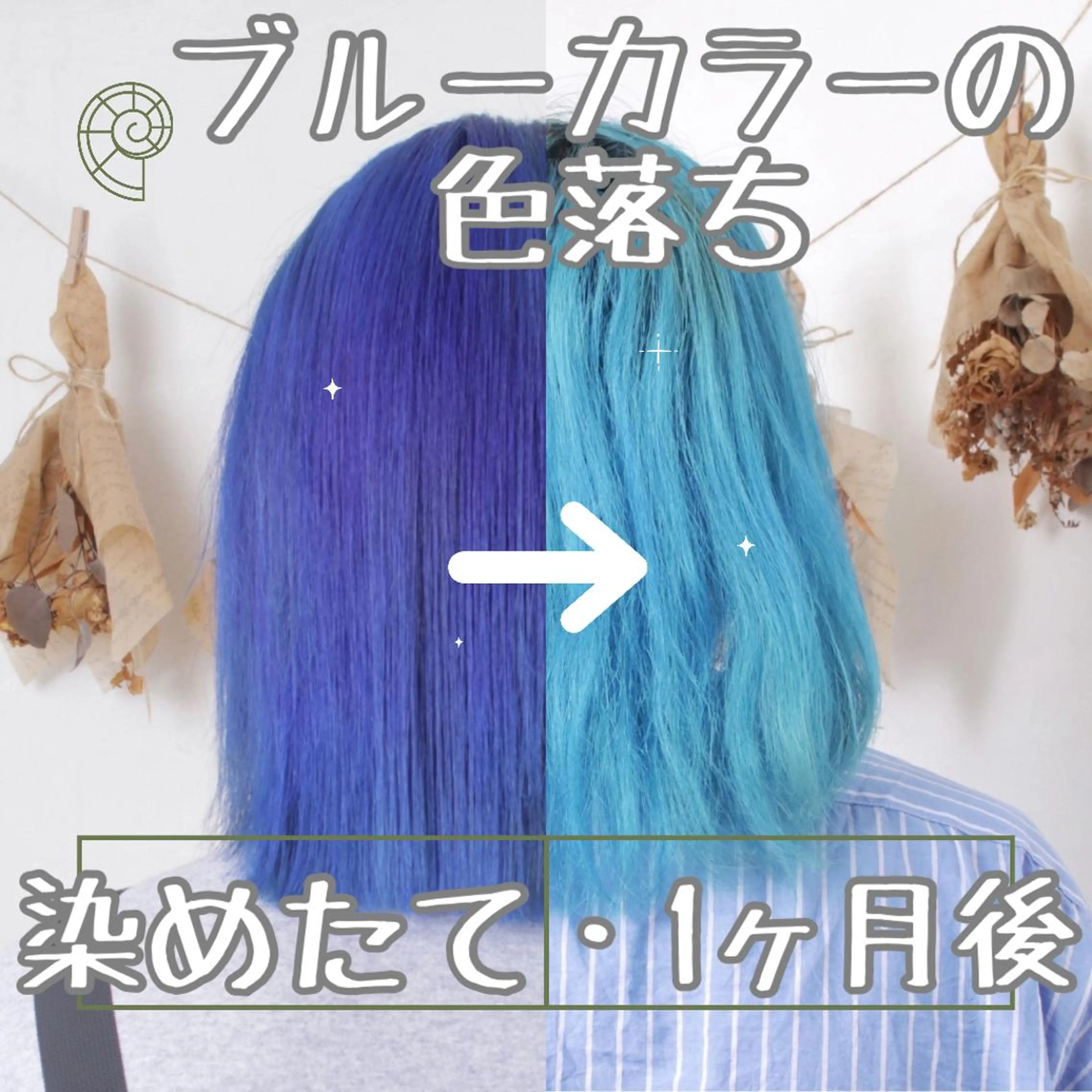 ミディアム カラー パーマ ヘアアレンジ メンズ ヘアカラー トリートメント 推し活専用 【派手髪】飯野ゆかりのヘアスタイル