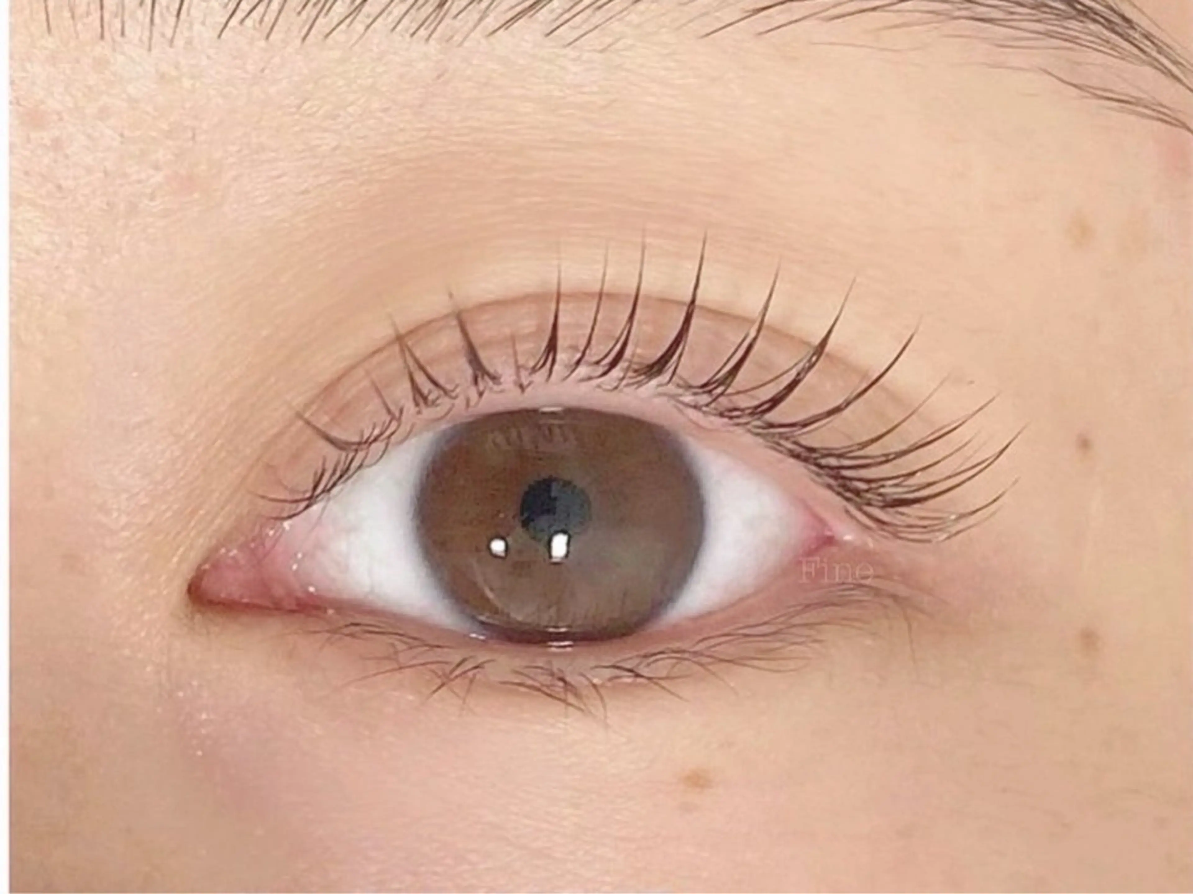マツエク・マツパ マツパ Fine eyelas/eyebrow所属・Fine スタッフのマツエク・マツパデザイン