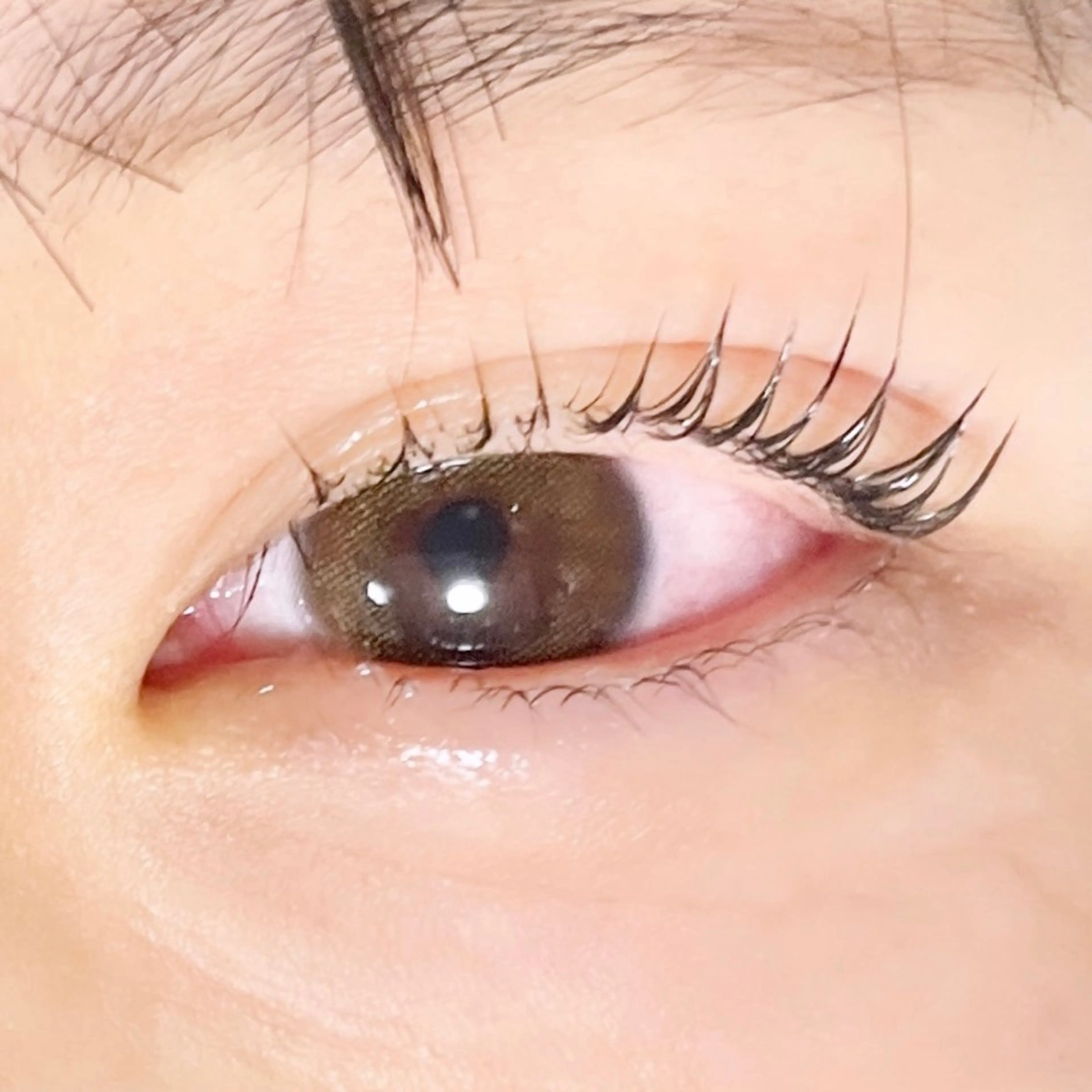 マツエク・マツパ TAKEO🖤 マリーテレジア藤が丘のマツエク・マツパデザイン