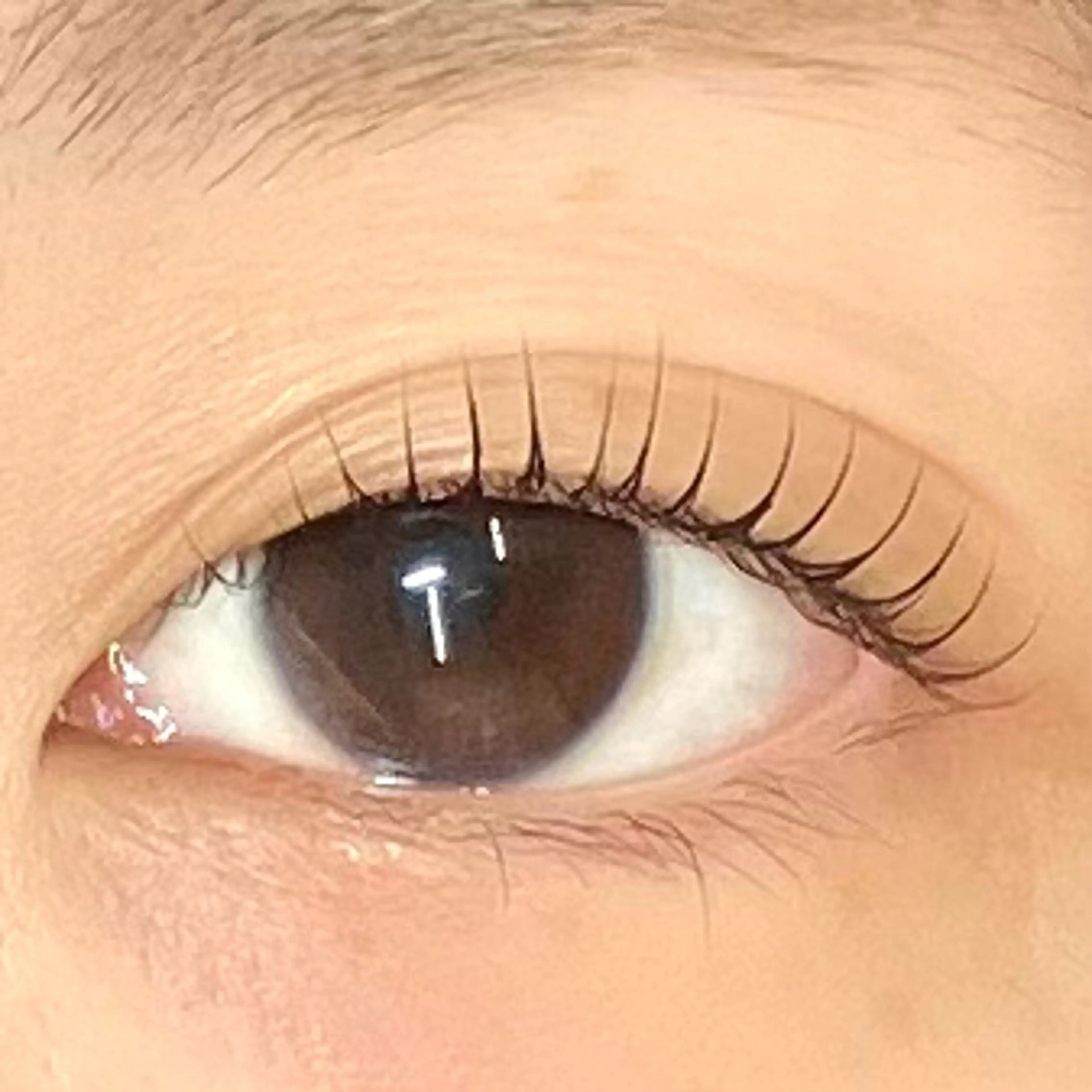 マツエク・マツパ まつげと眉毛のお店Sakura Lash【サクララッシュ】所属・【ダメージケア特化】 🌸 サクララッシュの眉毛・アイブロウイメージ