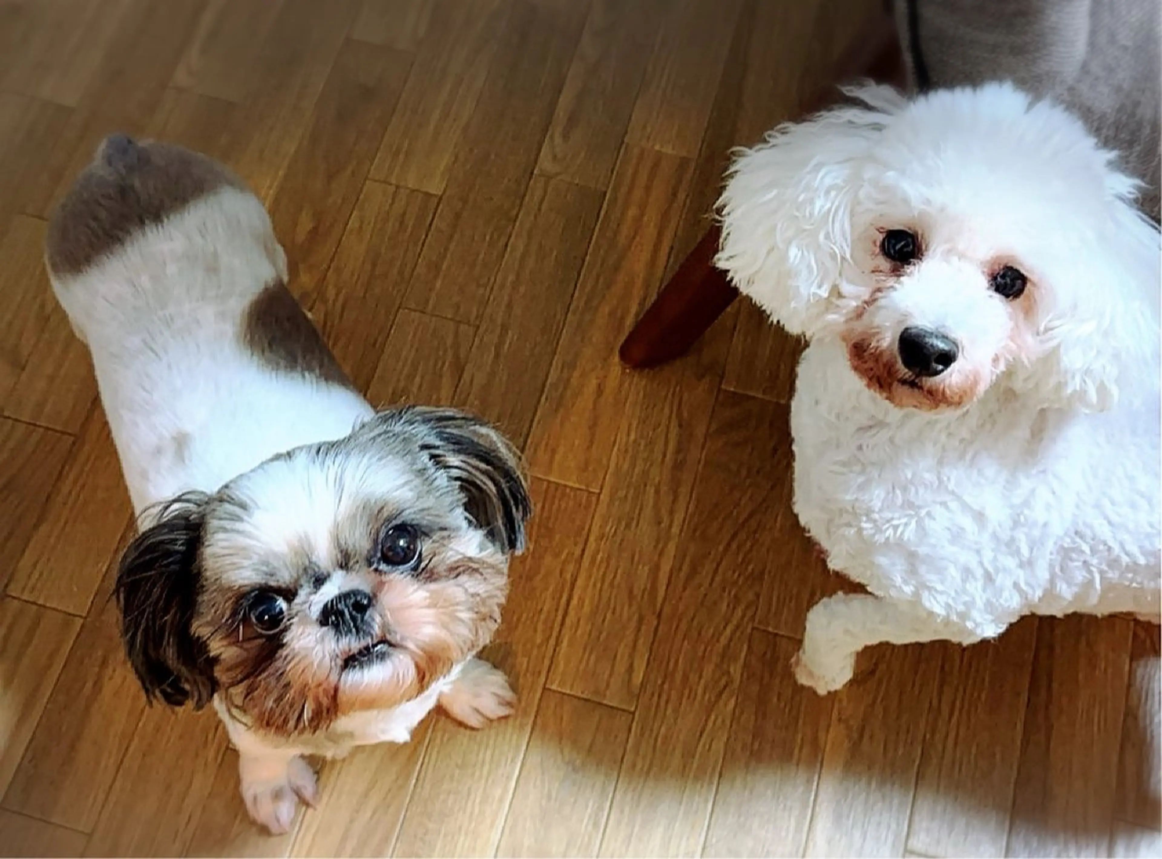 ネイルサロンエーナインイオン栄町店所属・【モデル募集中】 🕊️Yayoiのネイルデザイン