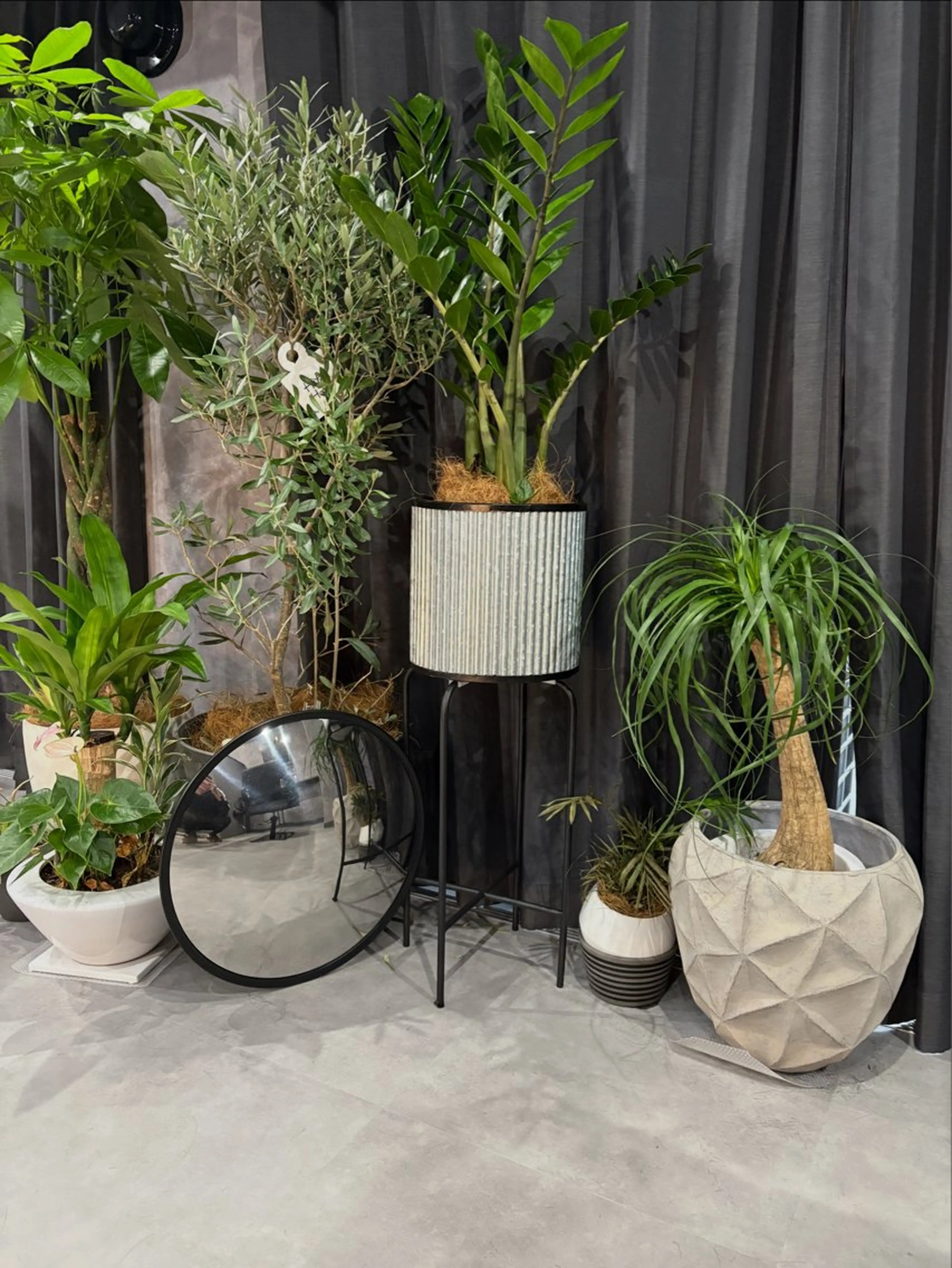 ショート カラー ブリーチ ケアブリーチ ダブルカラー ブリーチなしカラー エクステ ヘアカラー トリートメント nameless 心斎橋のヘアスタイル