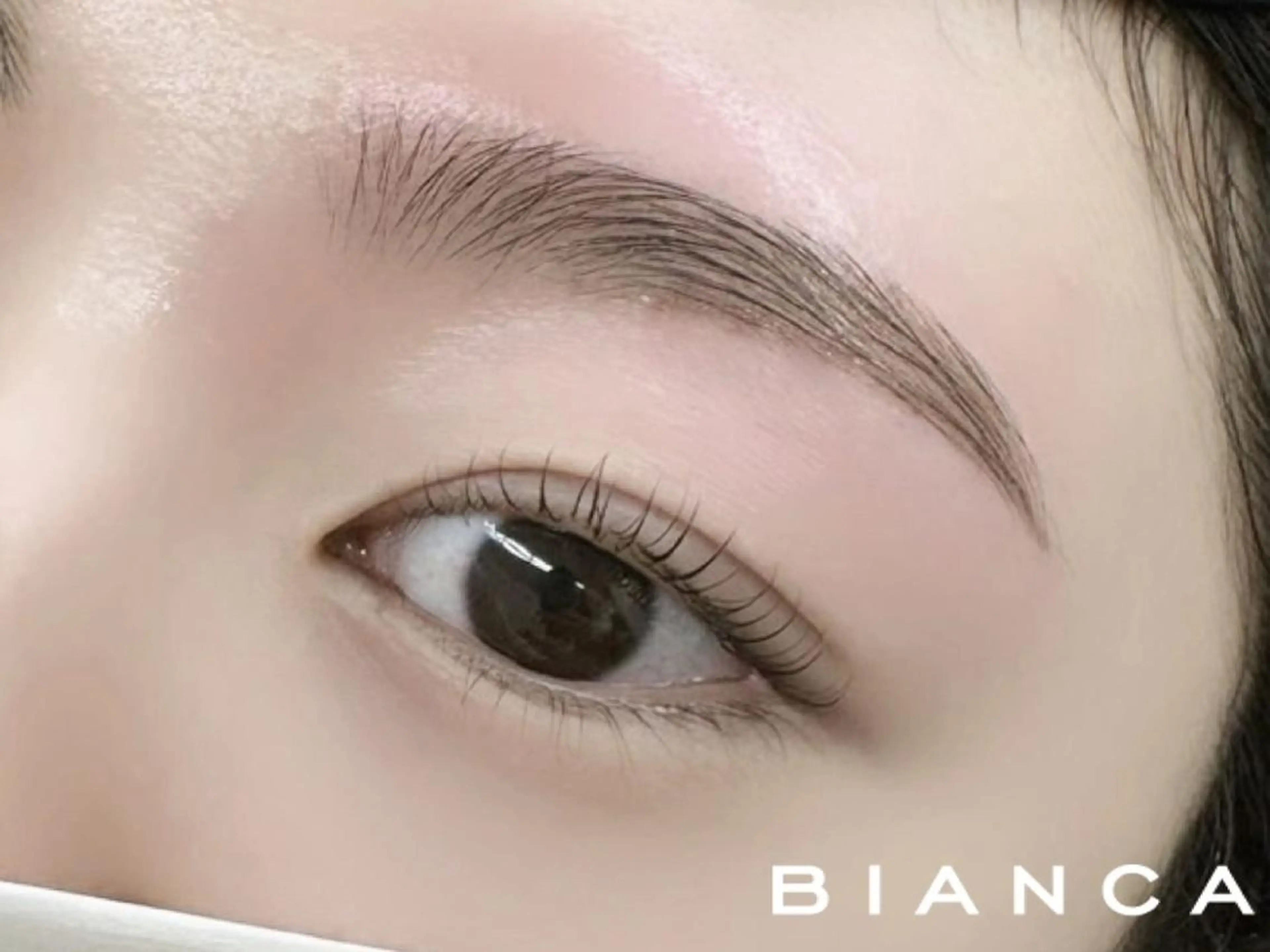 アイブロウ ワックス脱毛 BIANCA Nami 🧚🏻のマツエク・マツパデザイン