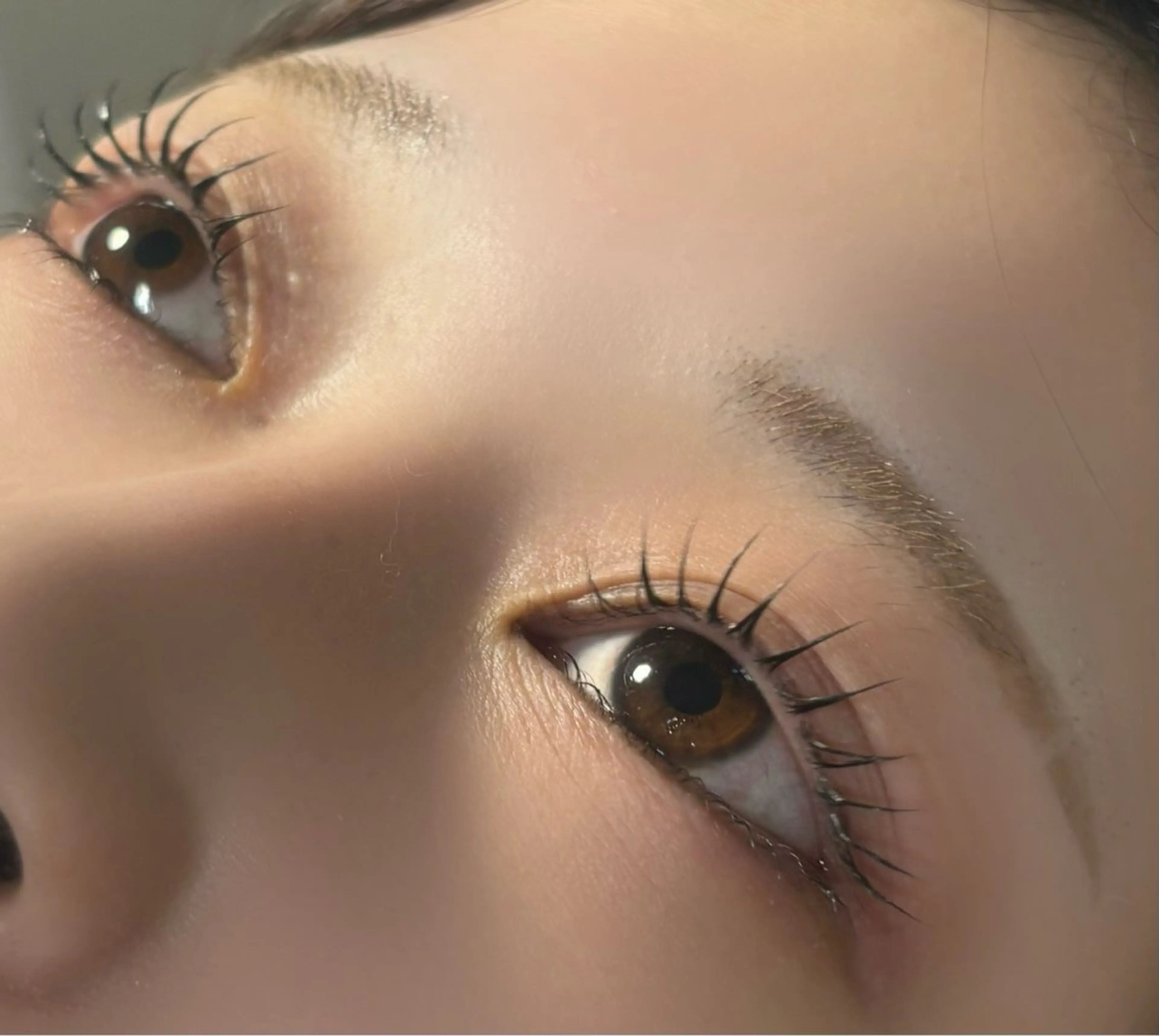 マツエク・マツパ マツパ マリーテレジア 🐨MIURAのマツエク・マツパデザイン