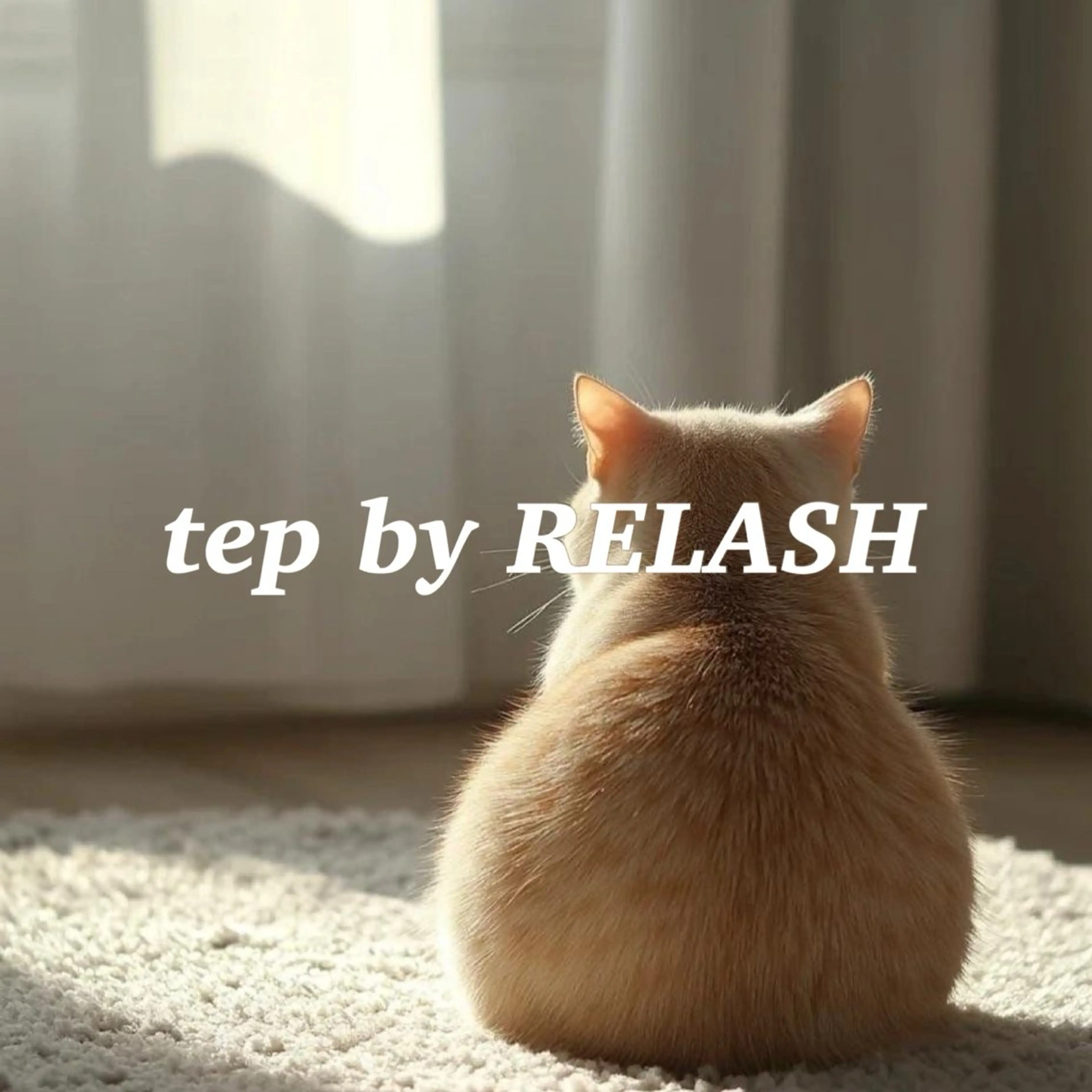 ꒰꒰ Jrアイリスト担当 ꒱꒱ 🥨オフ・リペア可能　flat lash 120本🥨の写真