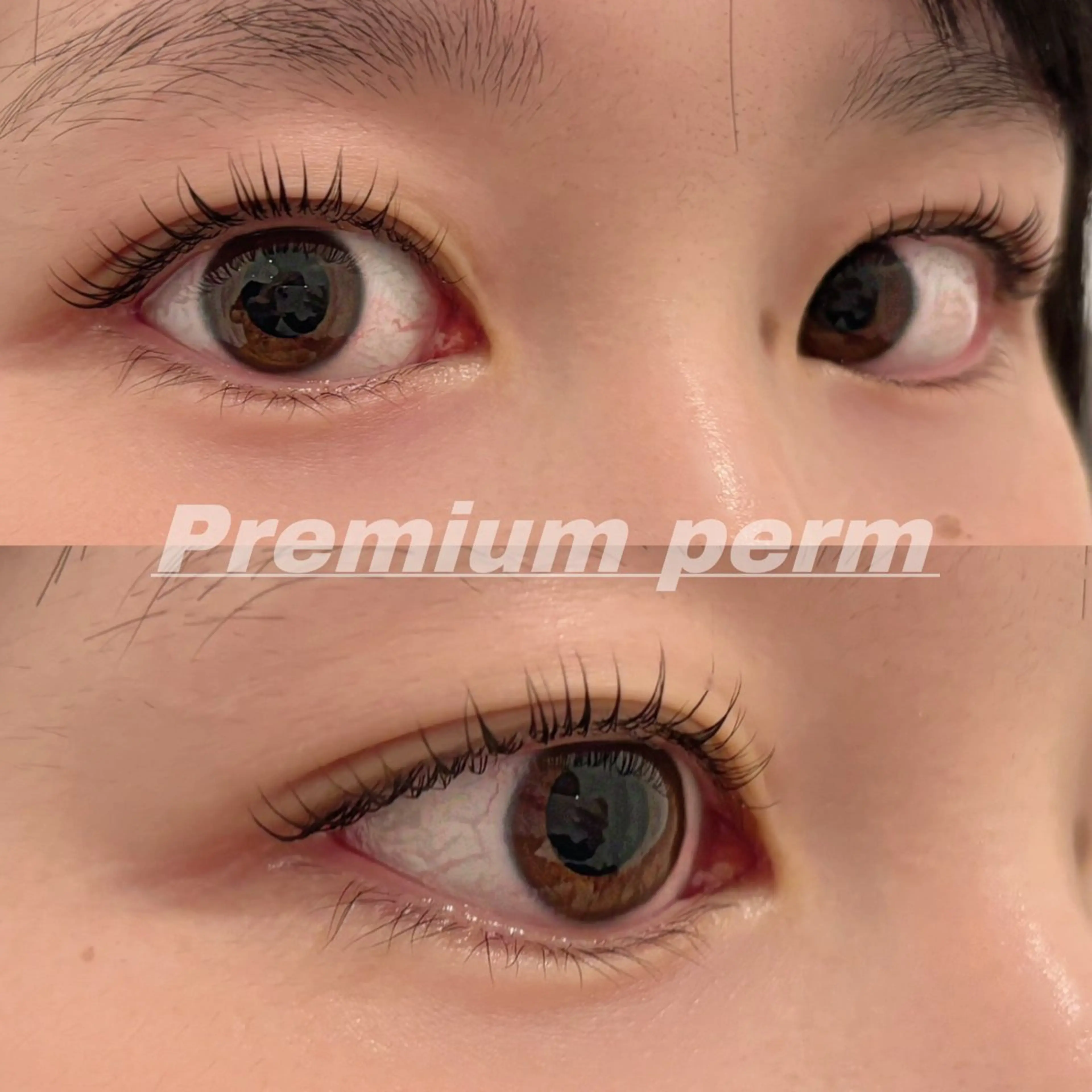 マツエク・マツパ 一重×まつ毛パーマ Eye ELSA lash栄店 長沼の眉毛・アイブロウイメージ