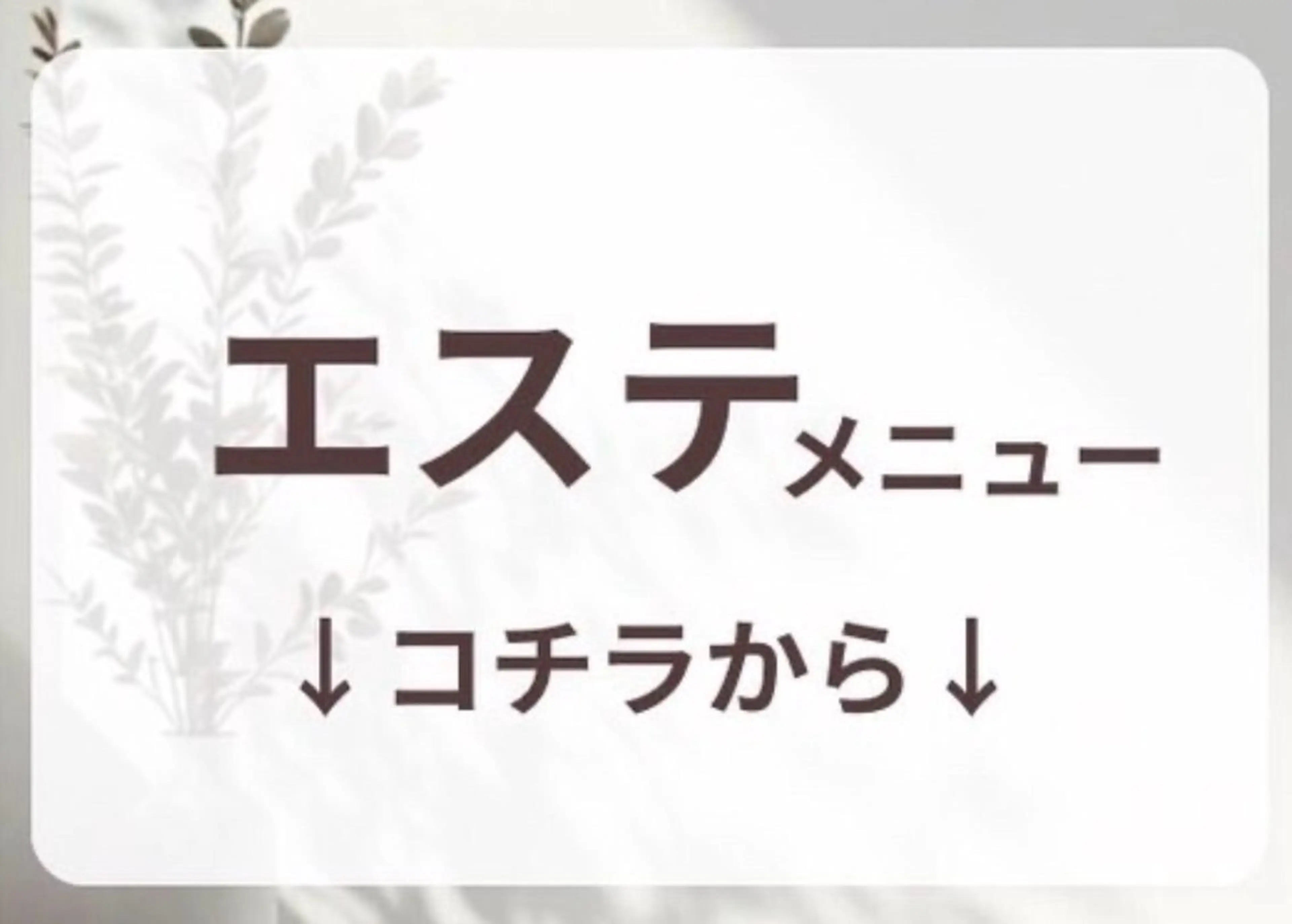 カテゴリ表示用の写真