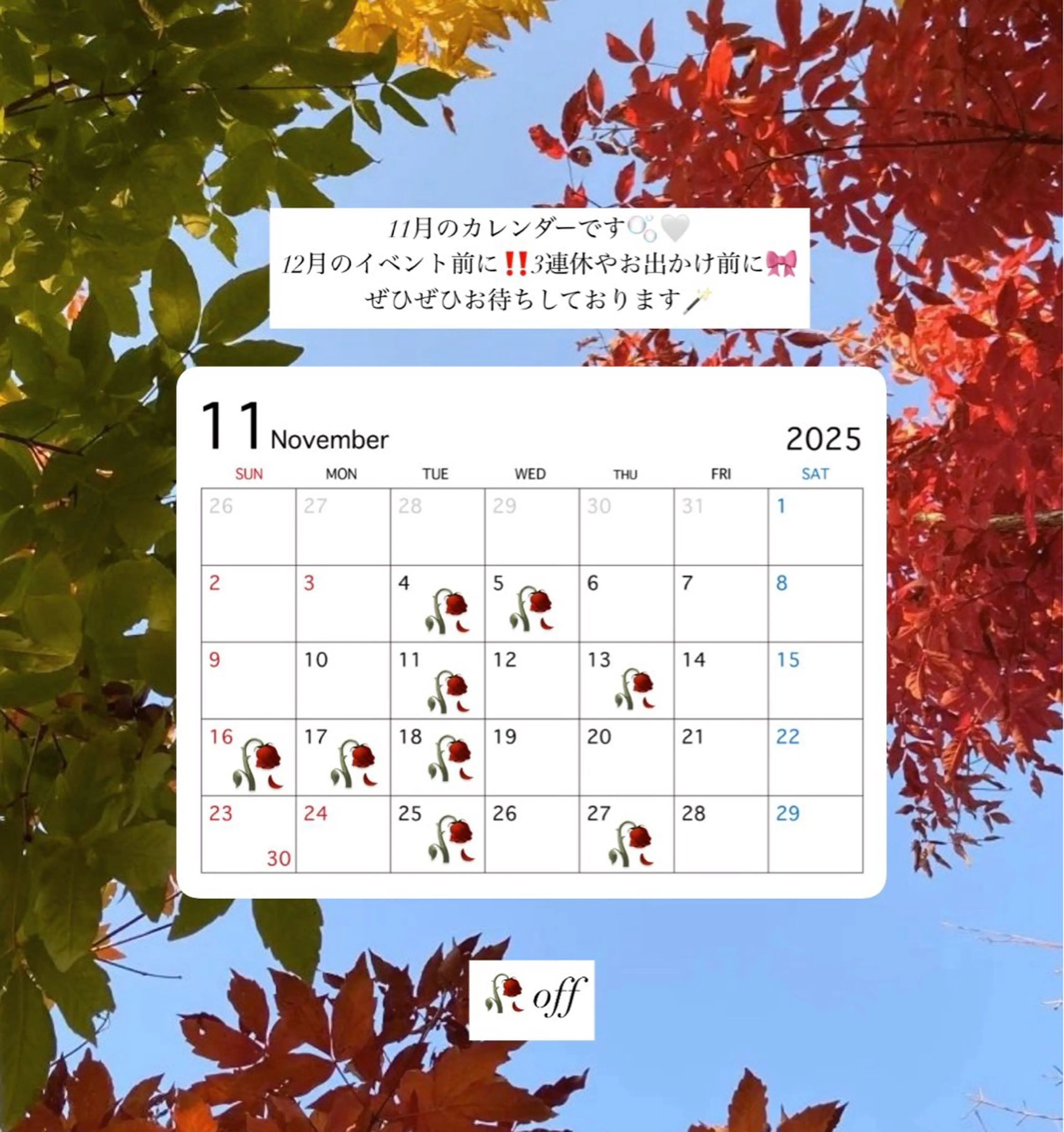 ヘアカラー トリートメント ピンク🎀ブラウン 透明感/髪質改善のヘアスタイル