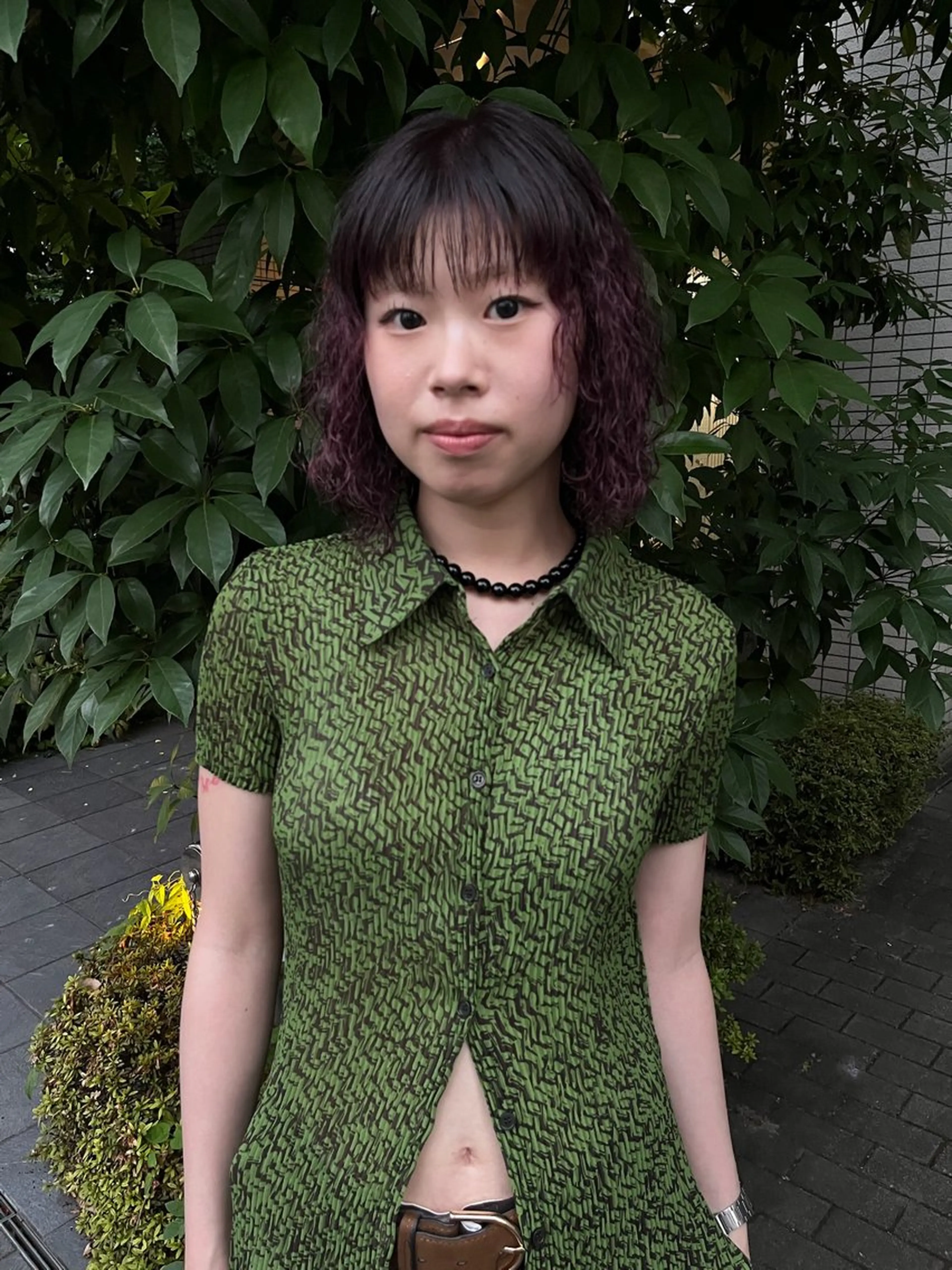ワンカラーの写真
